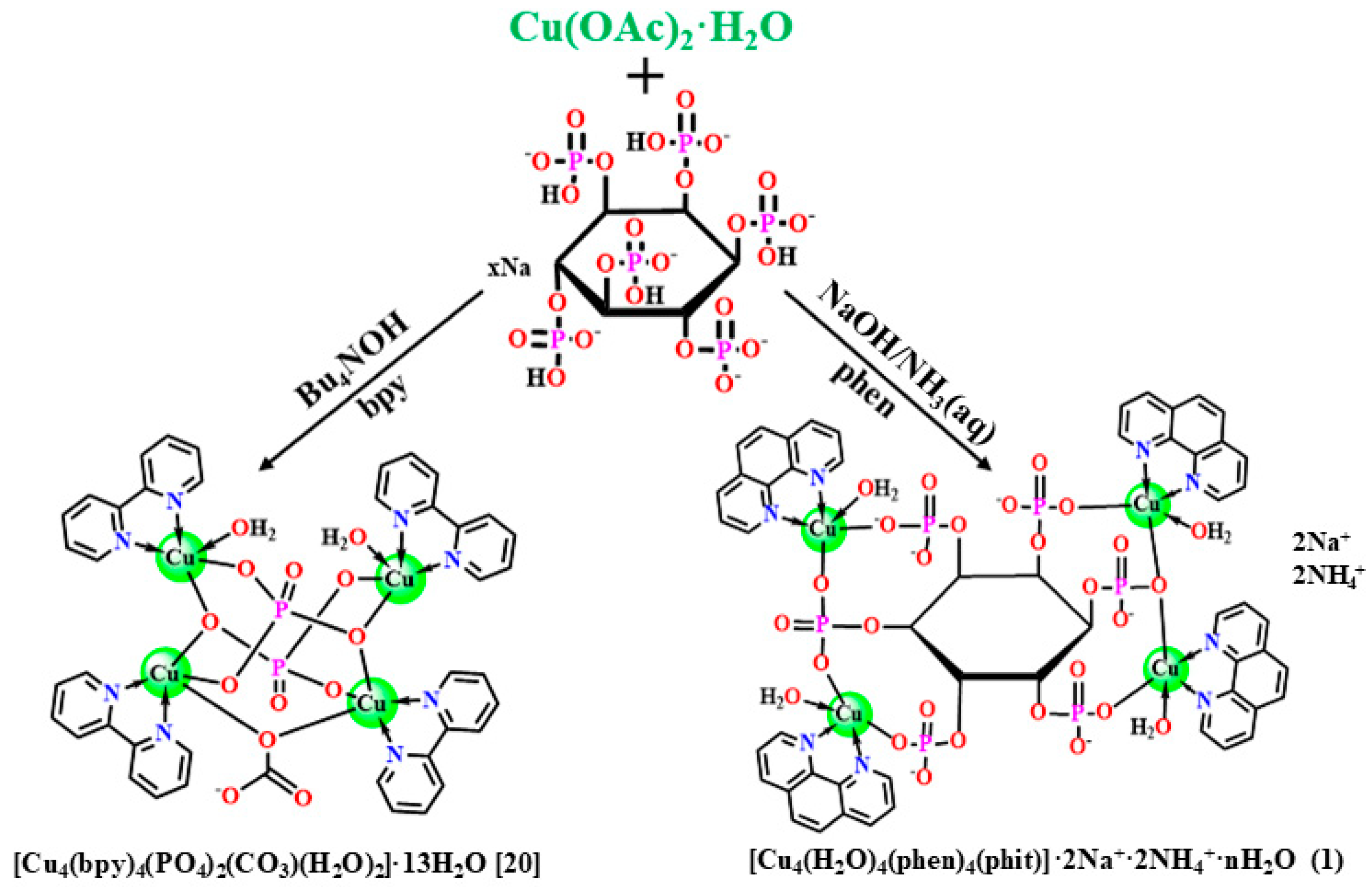 Molecules 30 00313 sch001