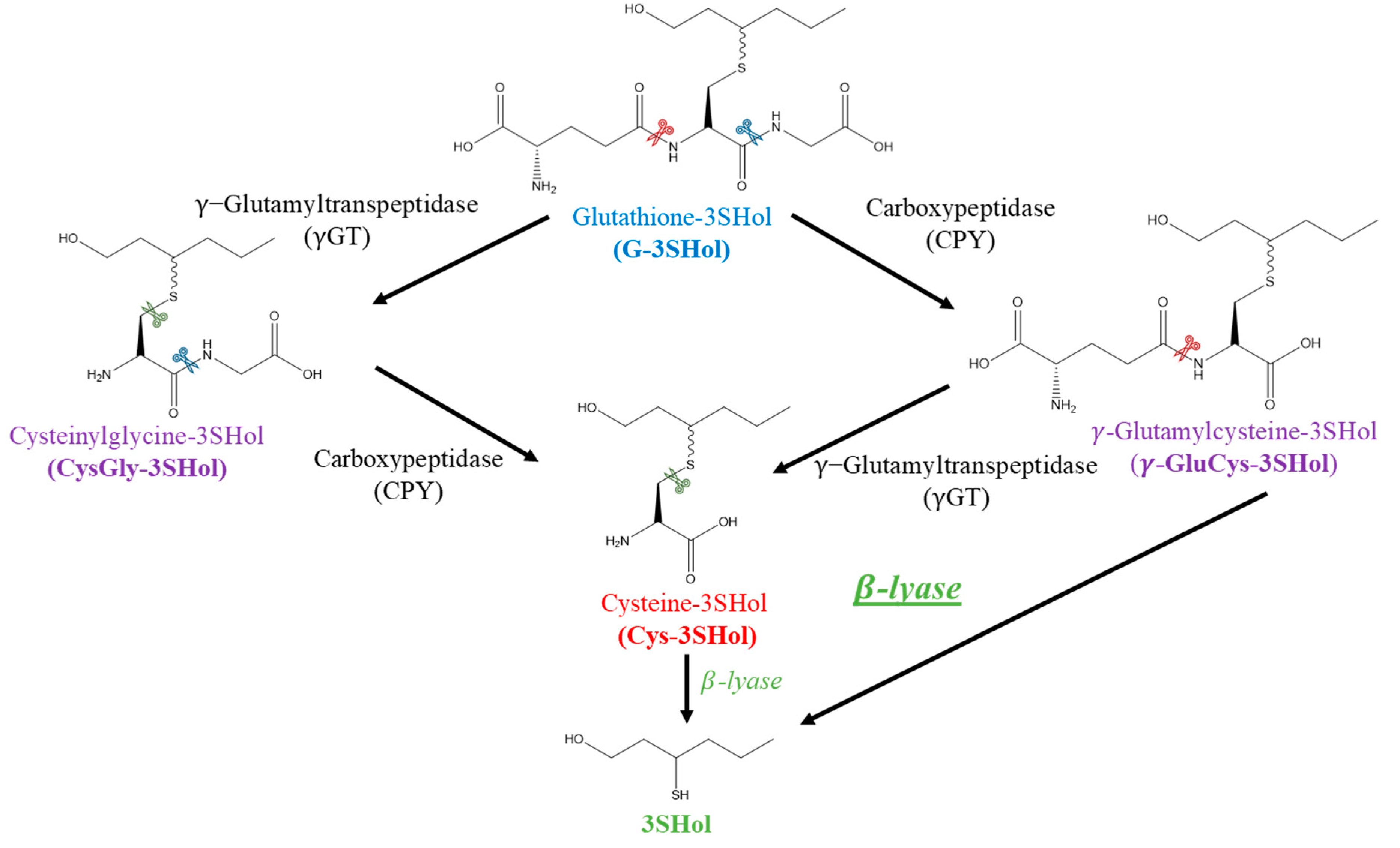 Molecules 30 00325 g001