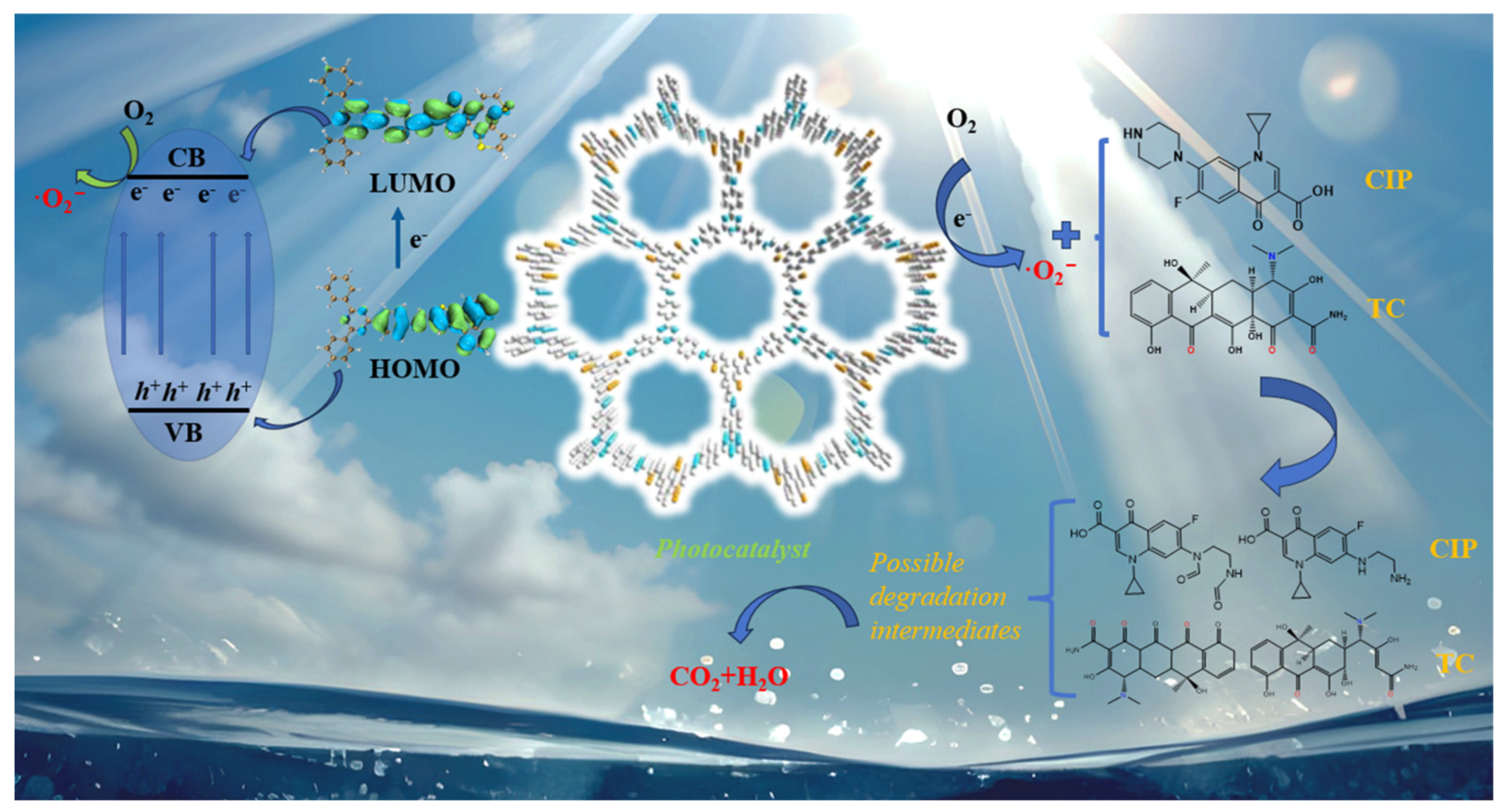 Molecules 30 00336 g010