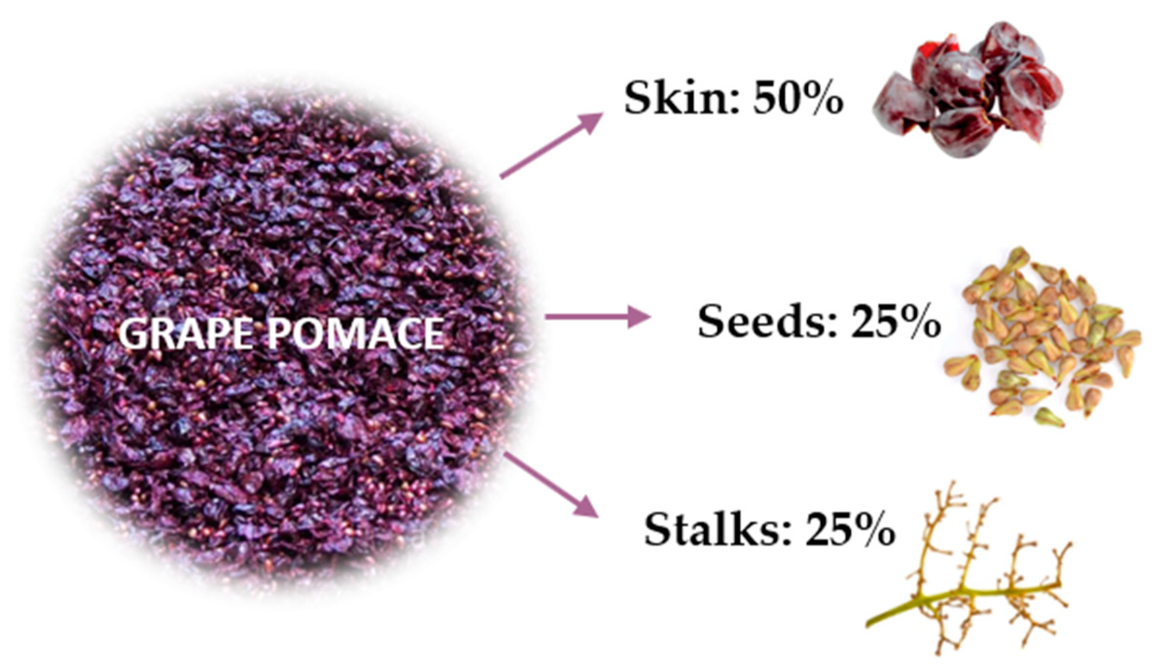 Molecules 30 00362 g001 Molecules 30 00362 g001