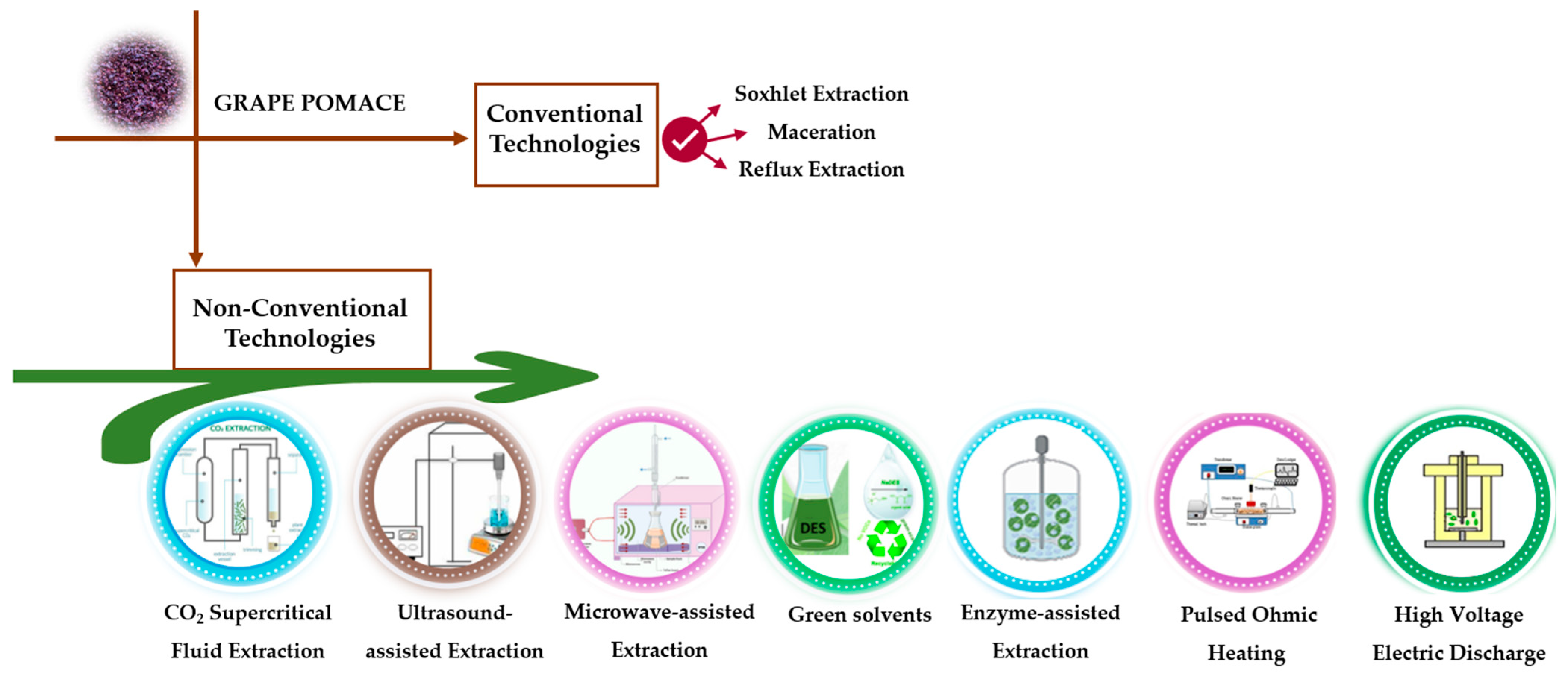 Molecules 30 00362 g002 Molecules 30 00362 g002