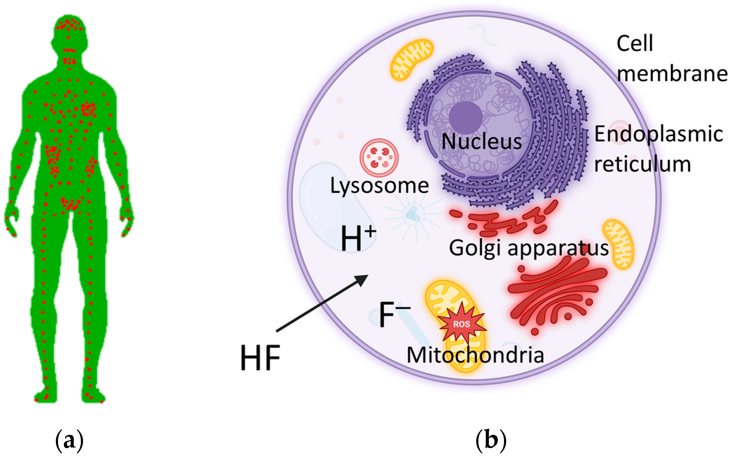 Molecules 30 00389 g001