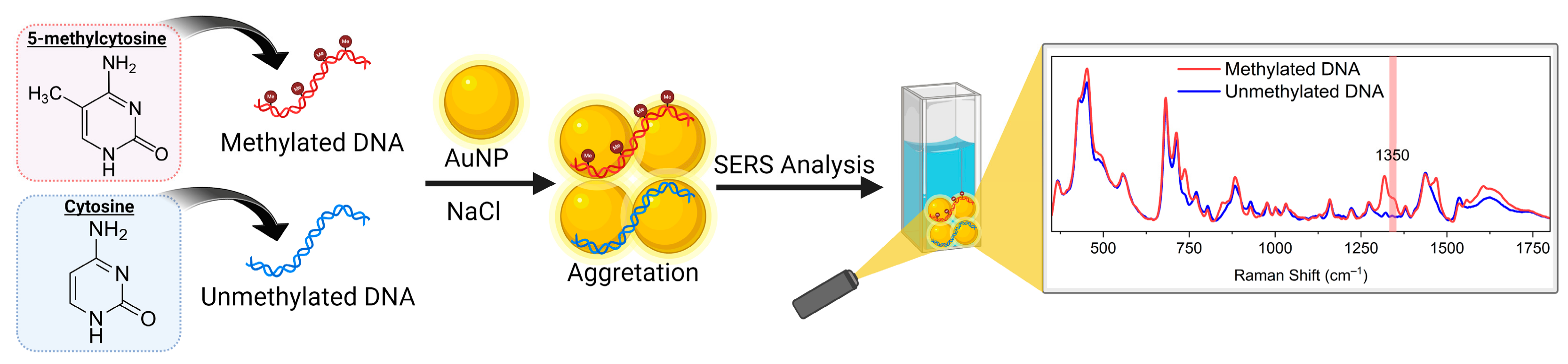 Molecules 30 00403 g001 Molecules 30 00403 g001
