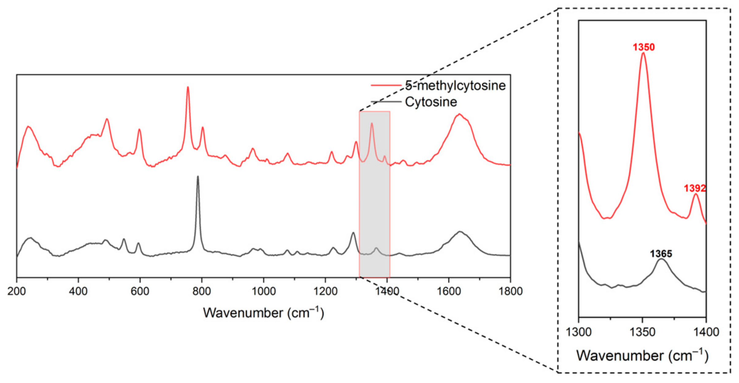 Molecules 30 00403 g004 Molecules 30 00403 g004