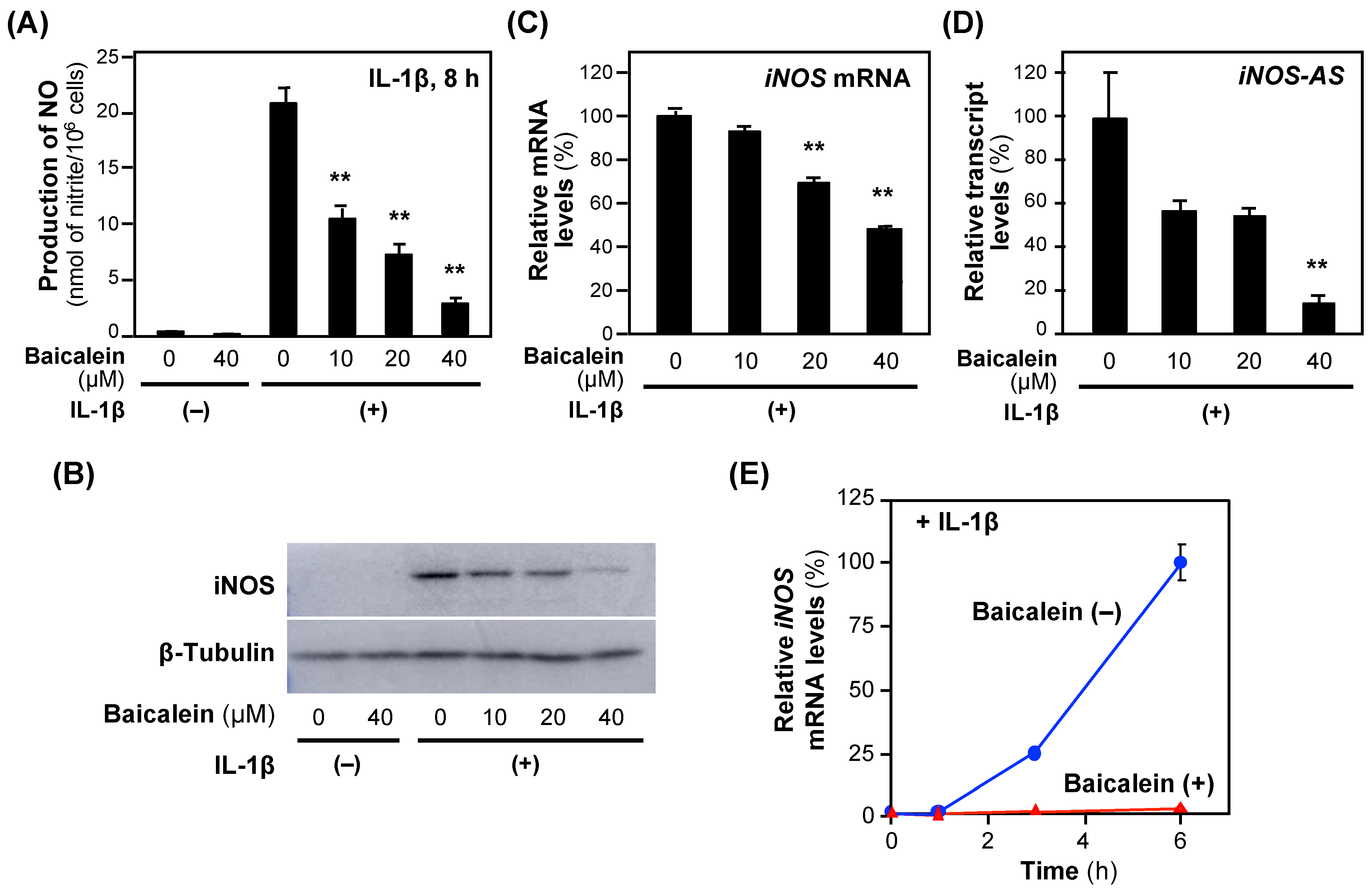 Molecules 30 00416 g003
