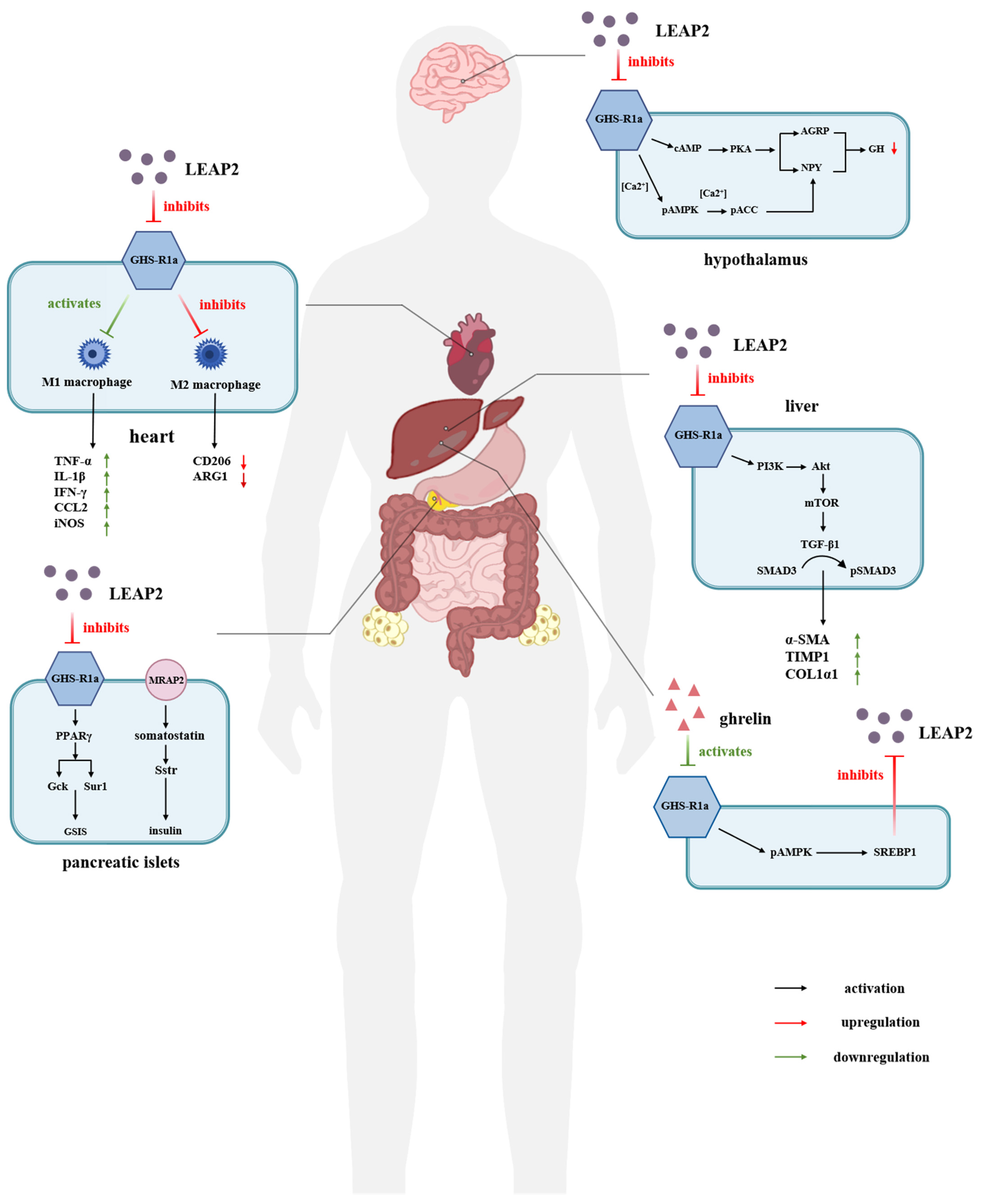 Molecules 30 00429 g002