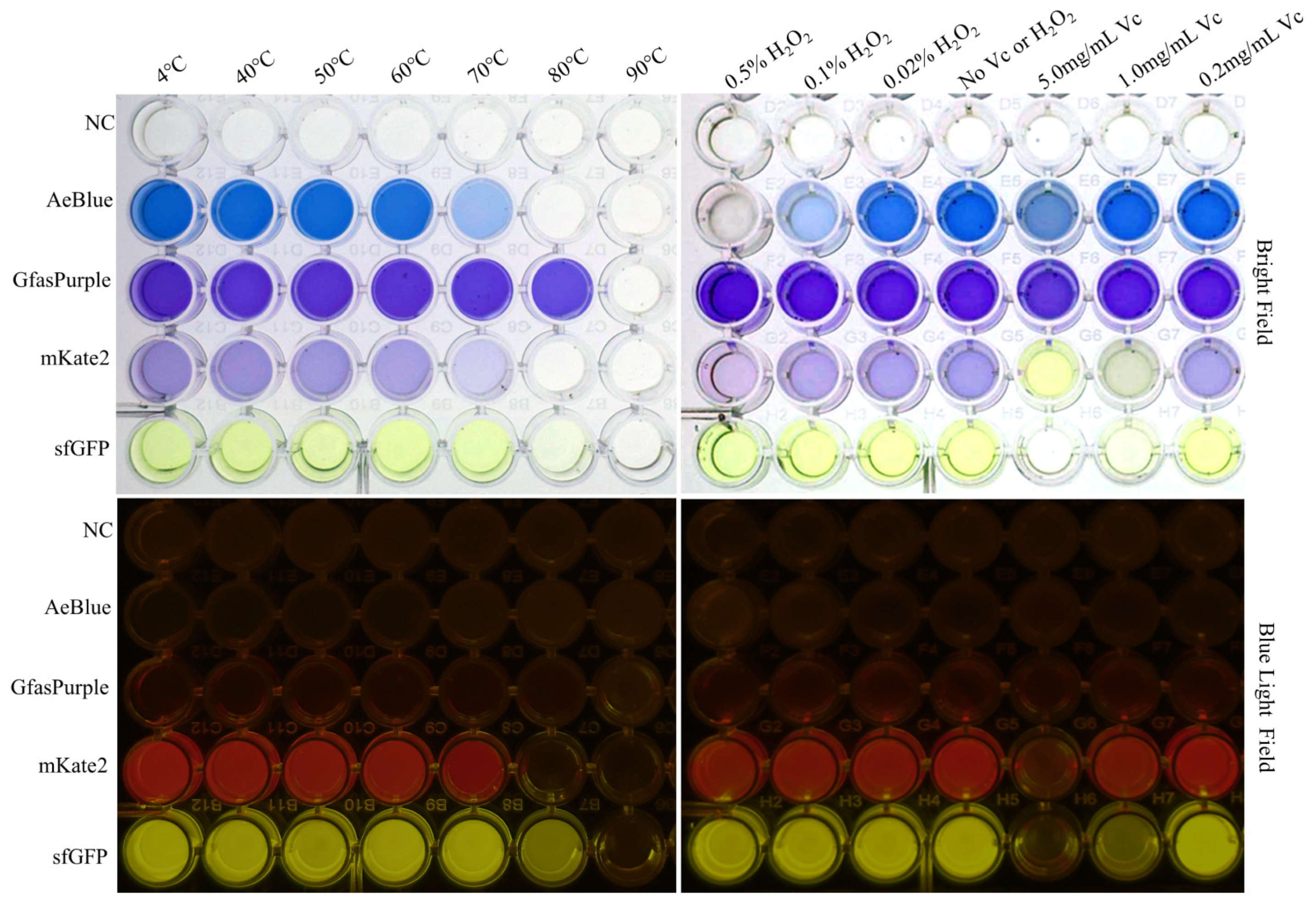 Molecules 30 00432 g003