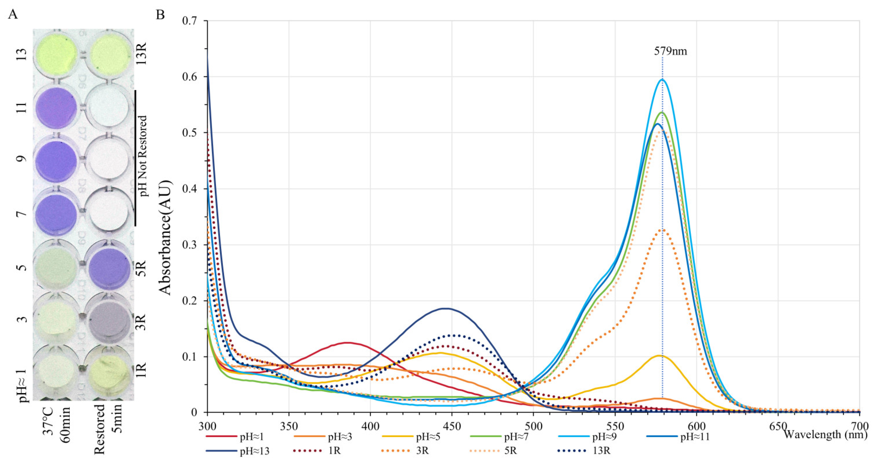 Molecules 30 00432 g006