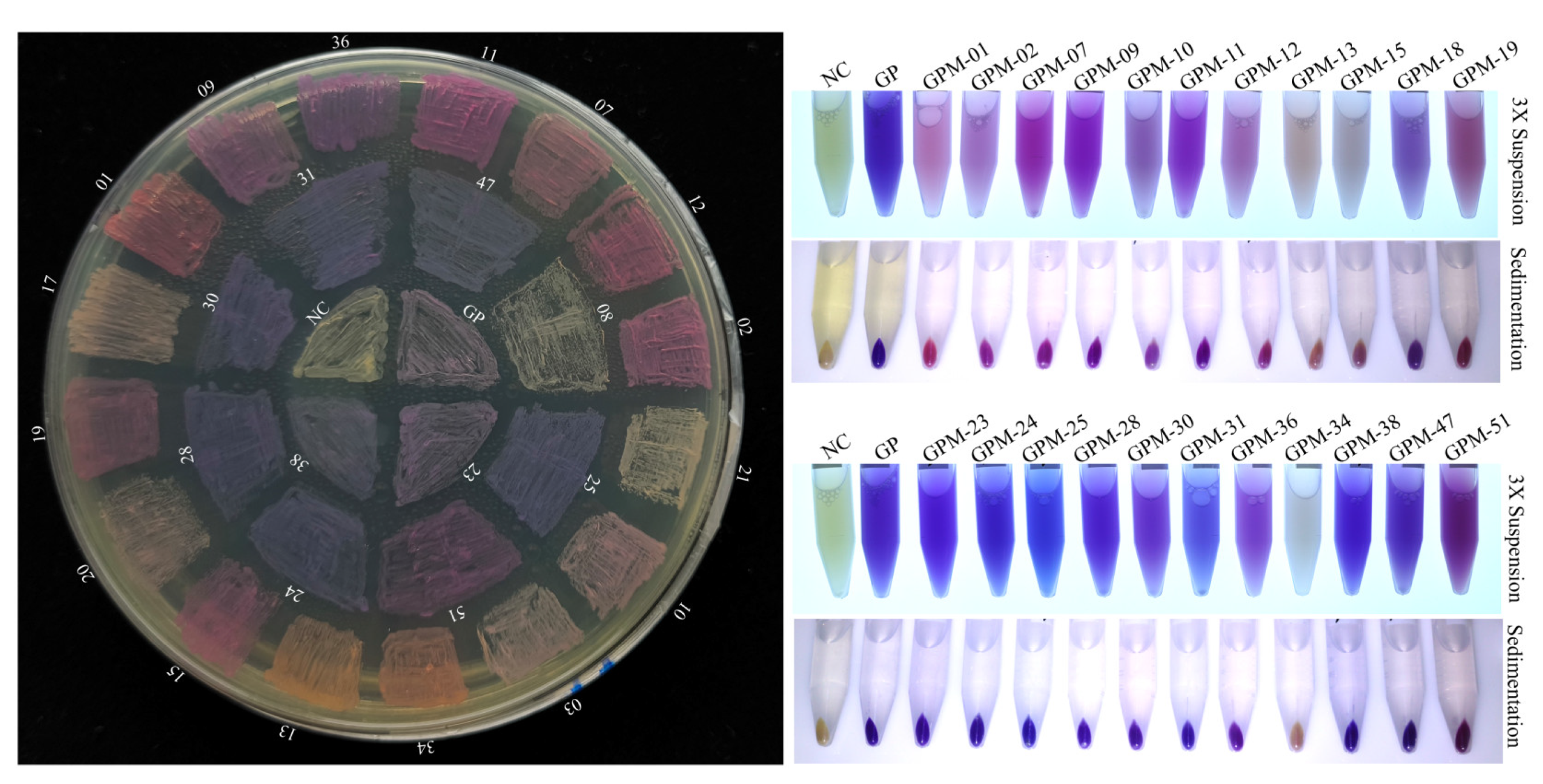 Molecules 30 00432 g007