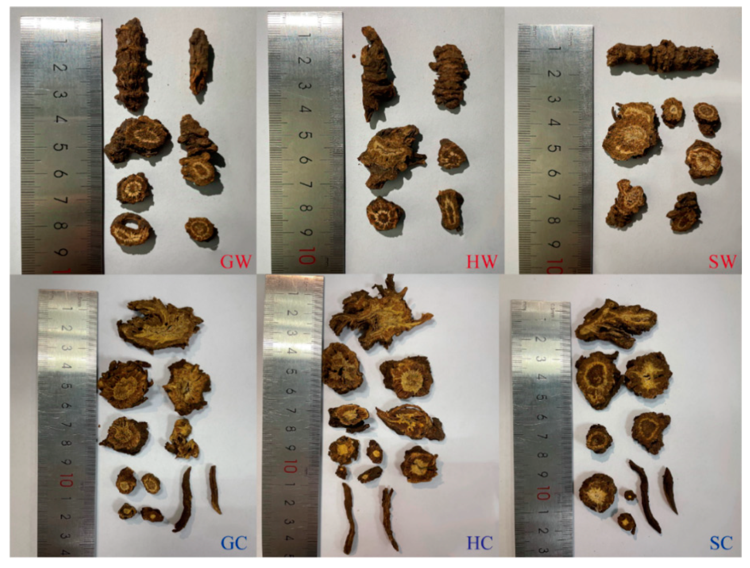 Molecules 30 00468 g001
