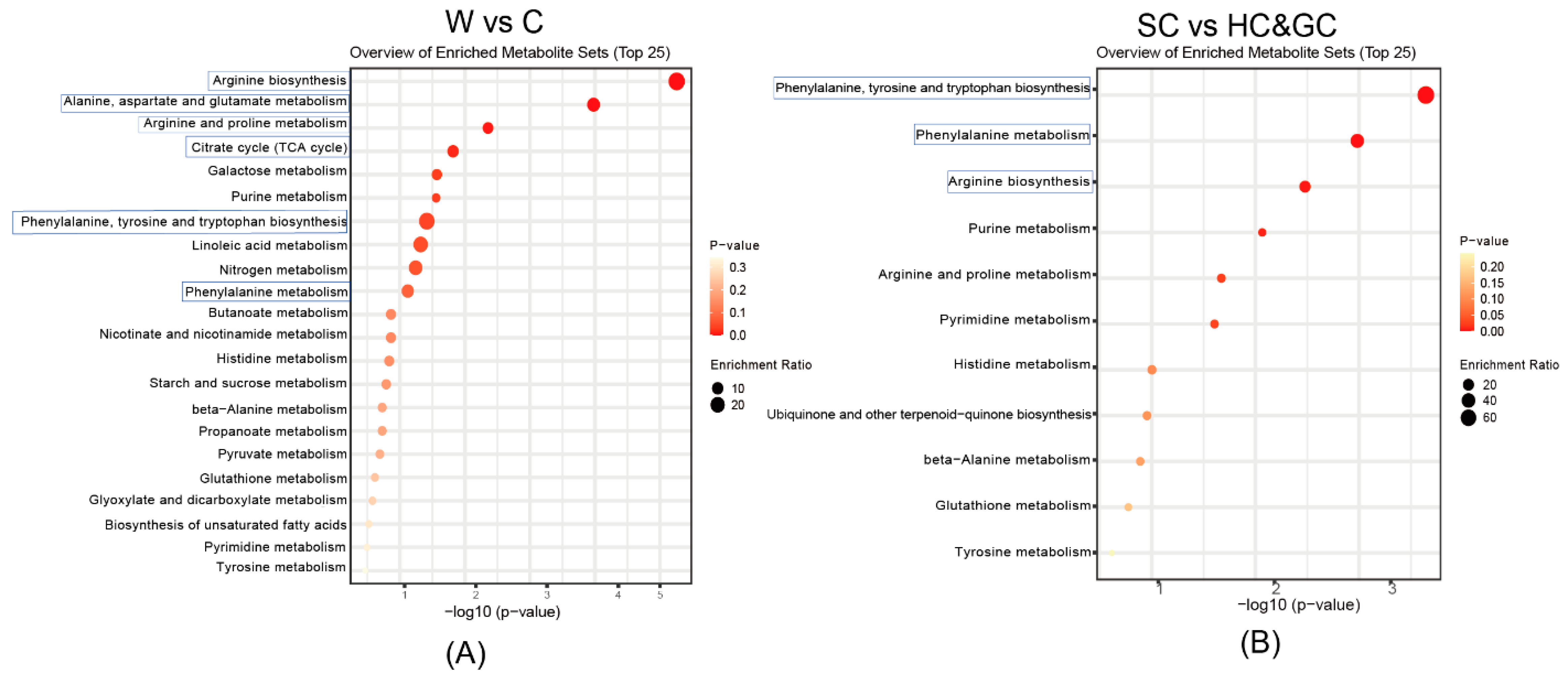 Molecules 30 00468 g005