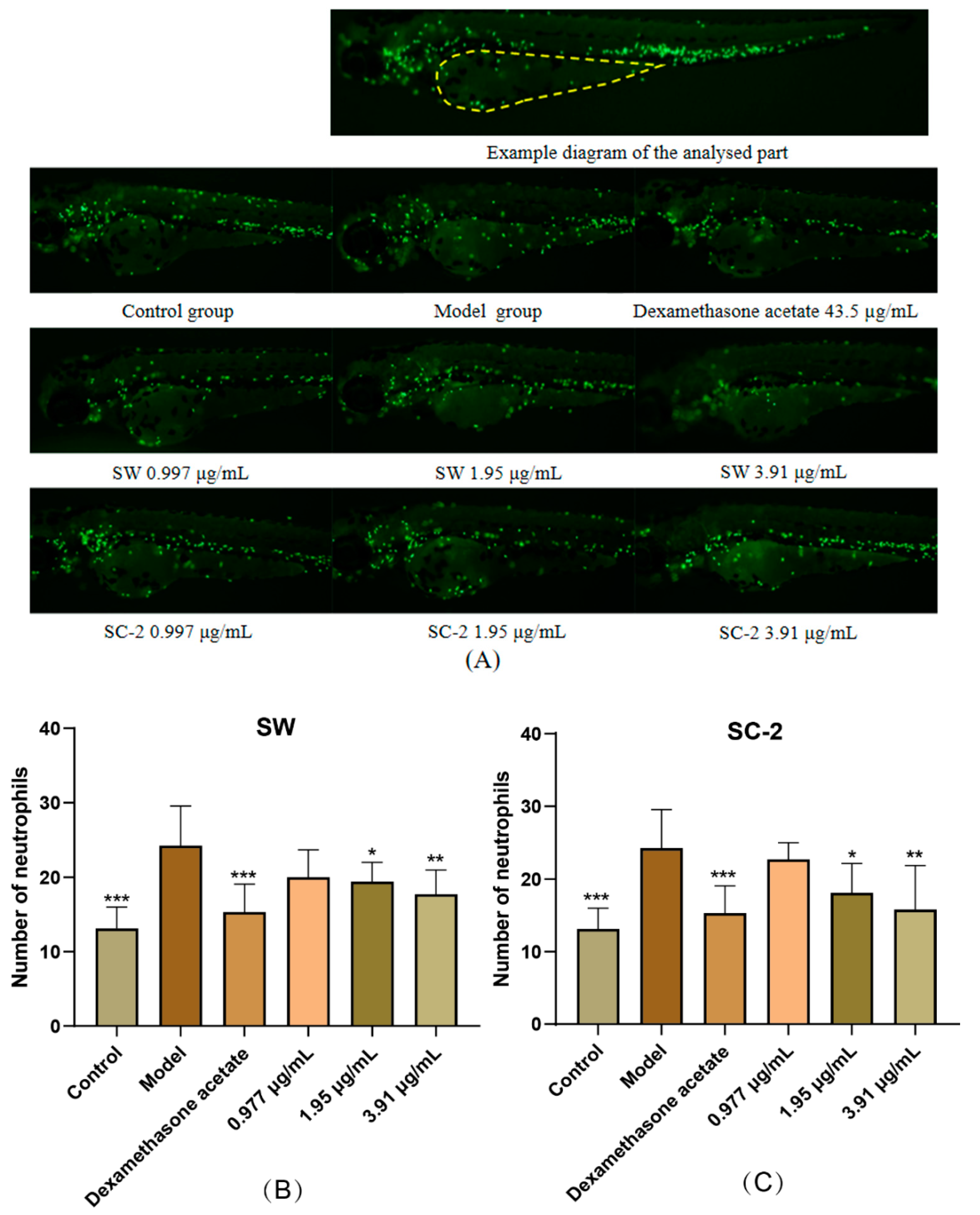 Molecules 30 00468 g009