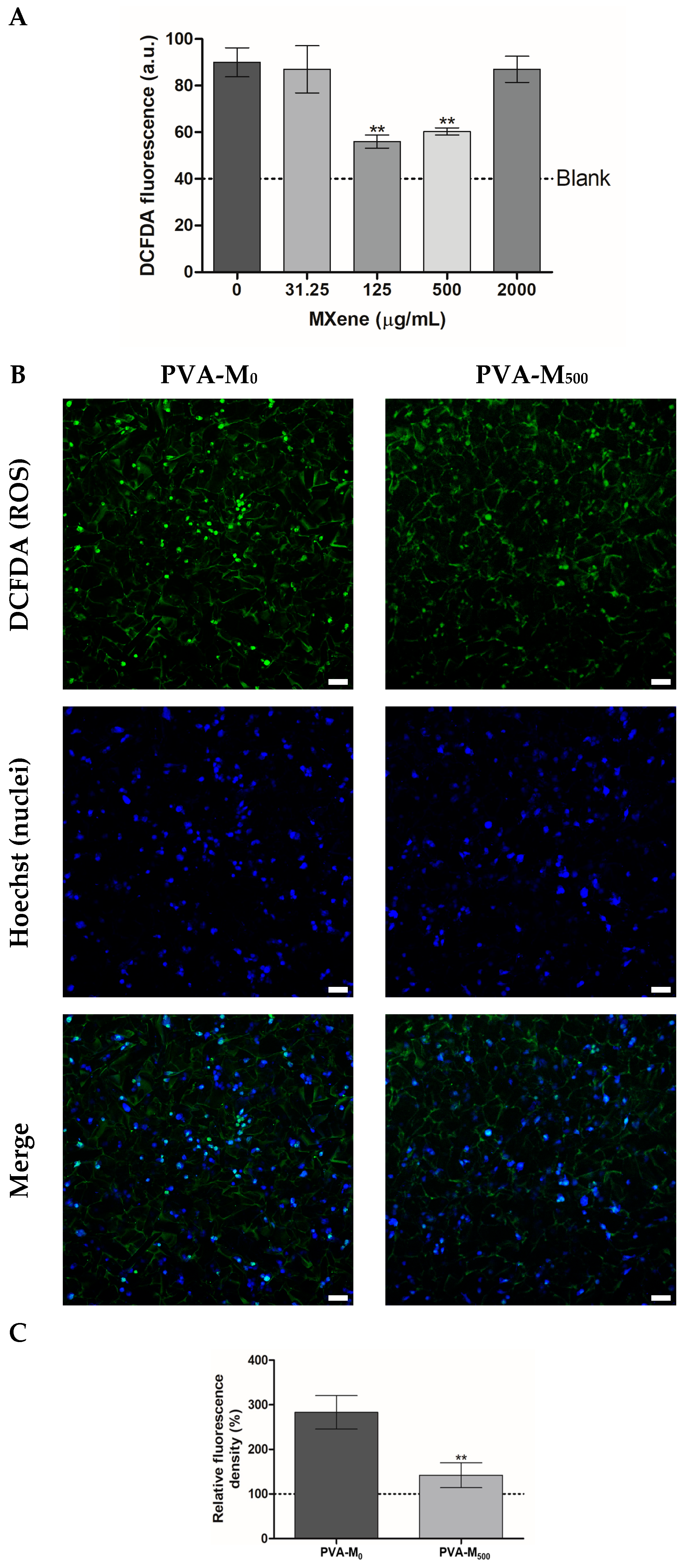 Molecules 30 00479 g005