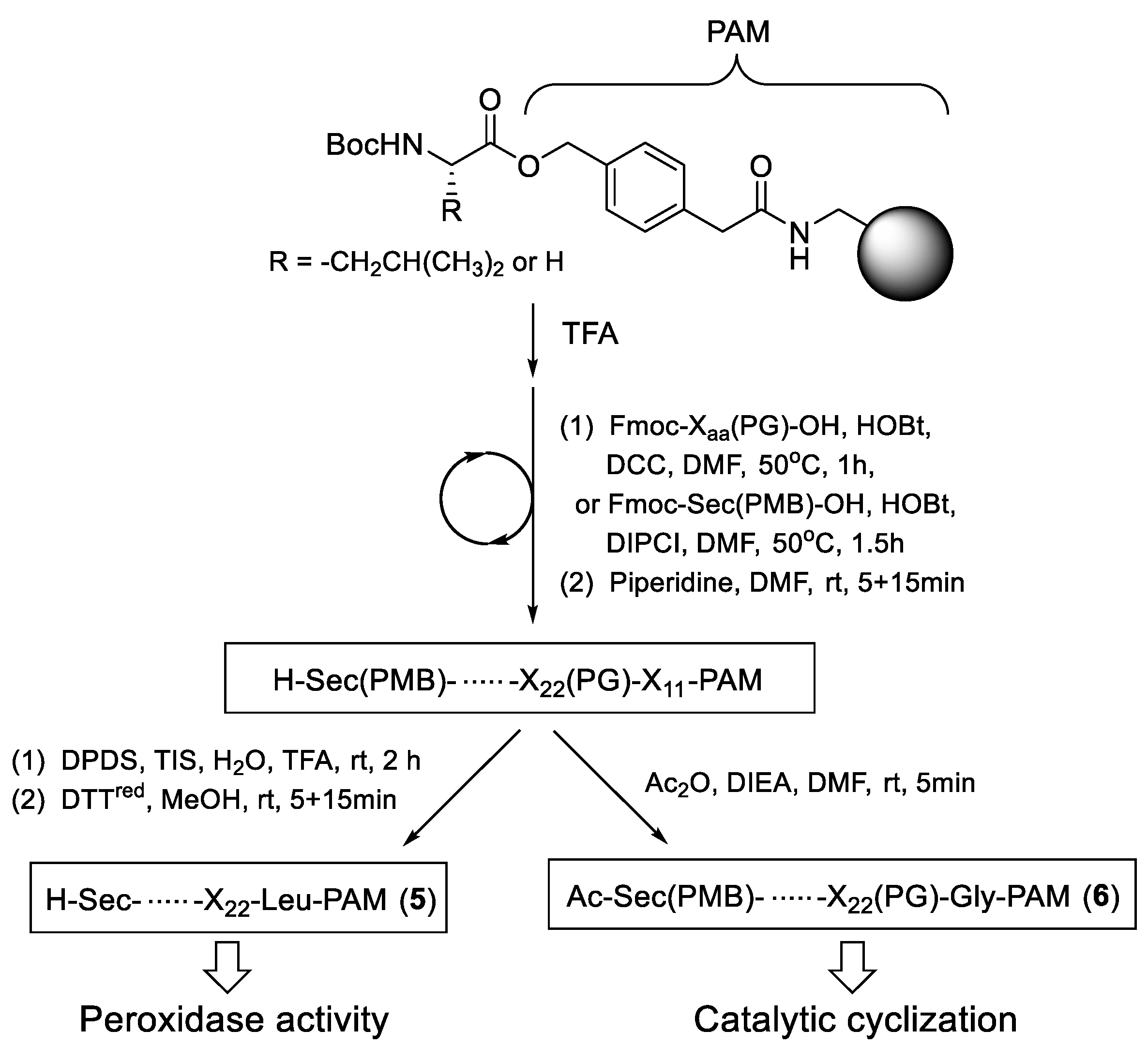 Molecules 30 00480 g002