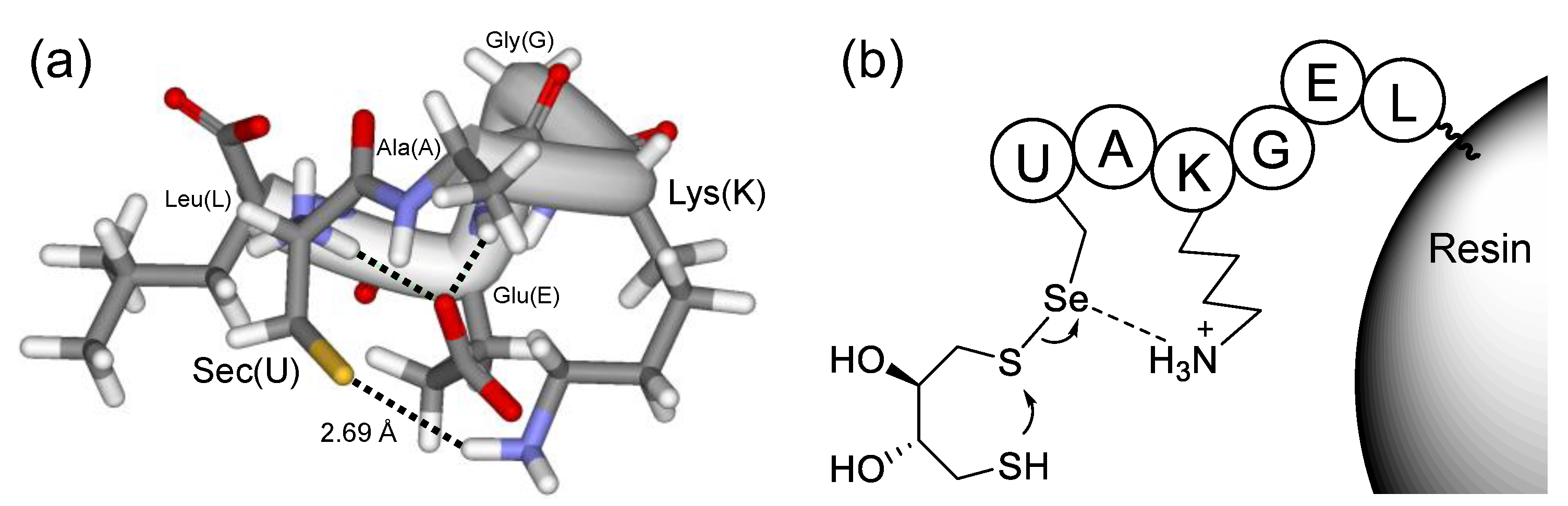 Molecules 30 00480 g004