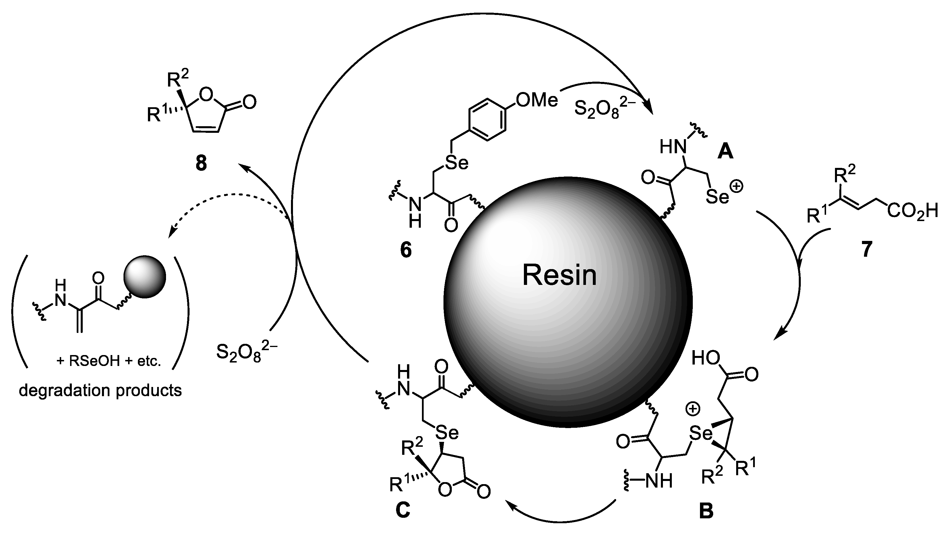 Molecules 30 00480 g006