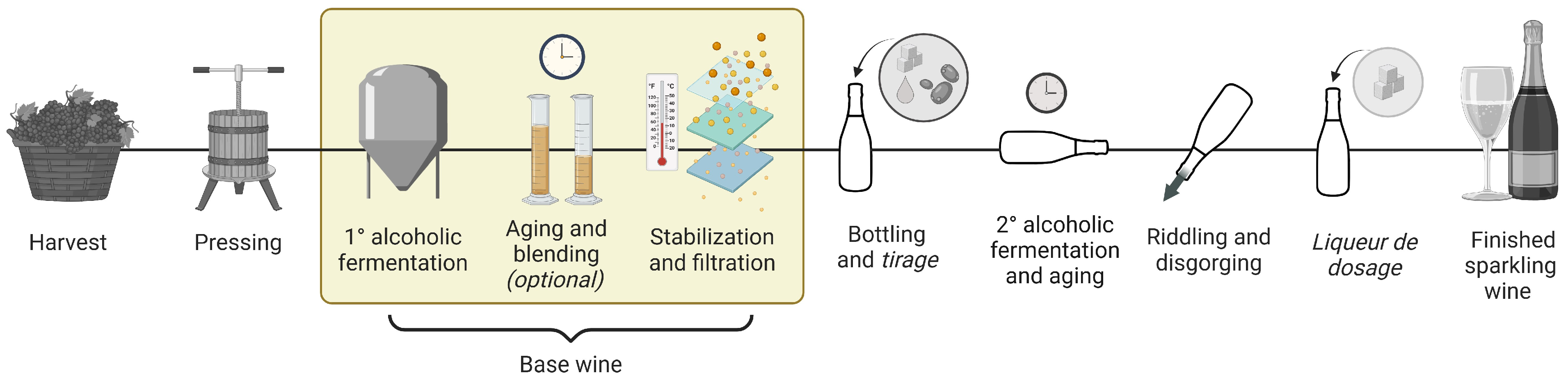 Molecules 30 00535 g001