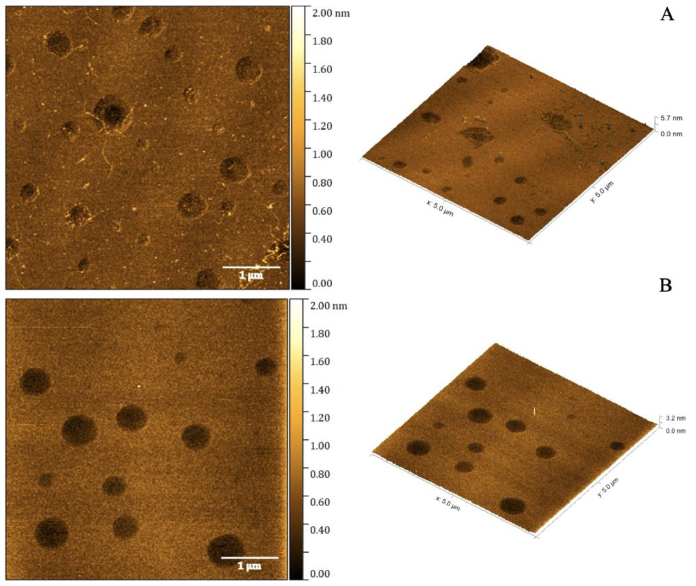 Molecules 30 00544 g001