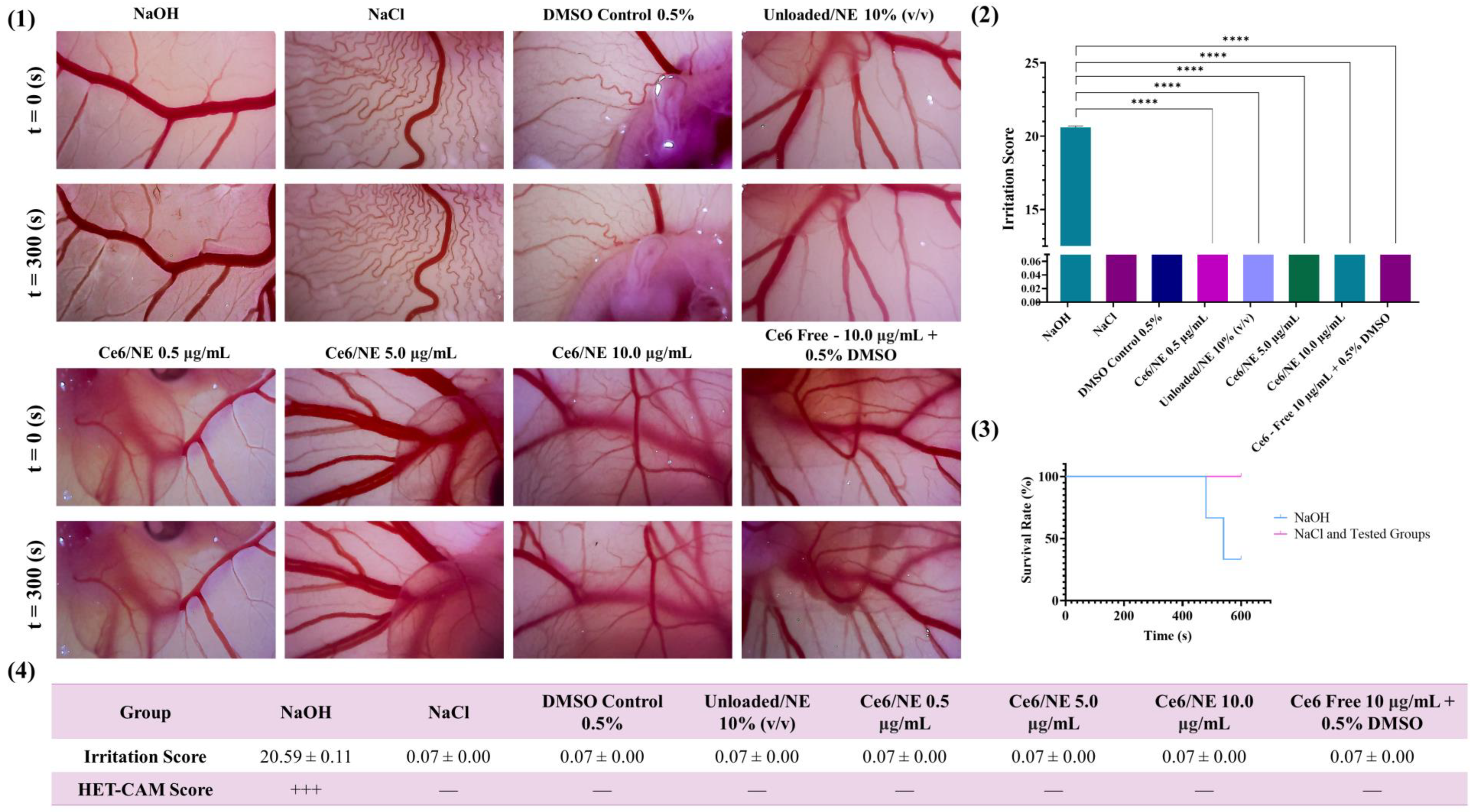 Molecules 30 00544 g006