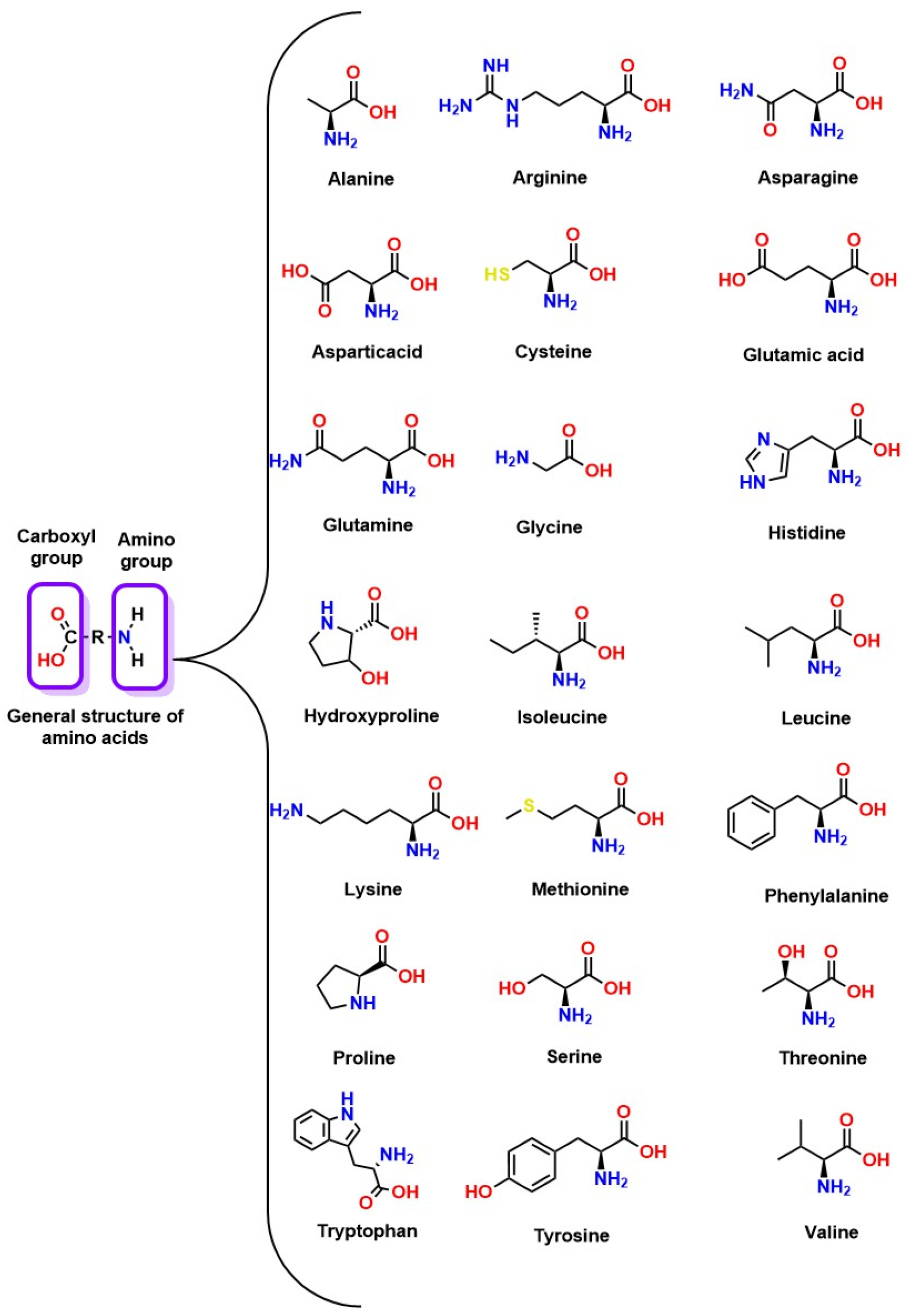Molecules 30 00563 g010
