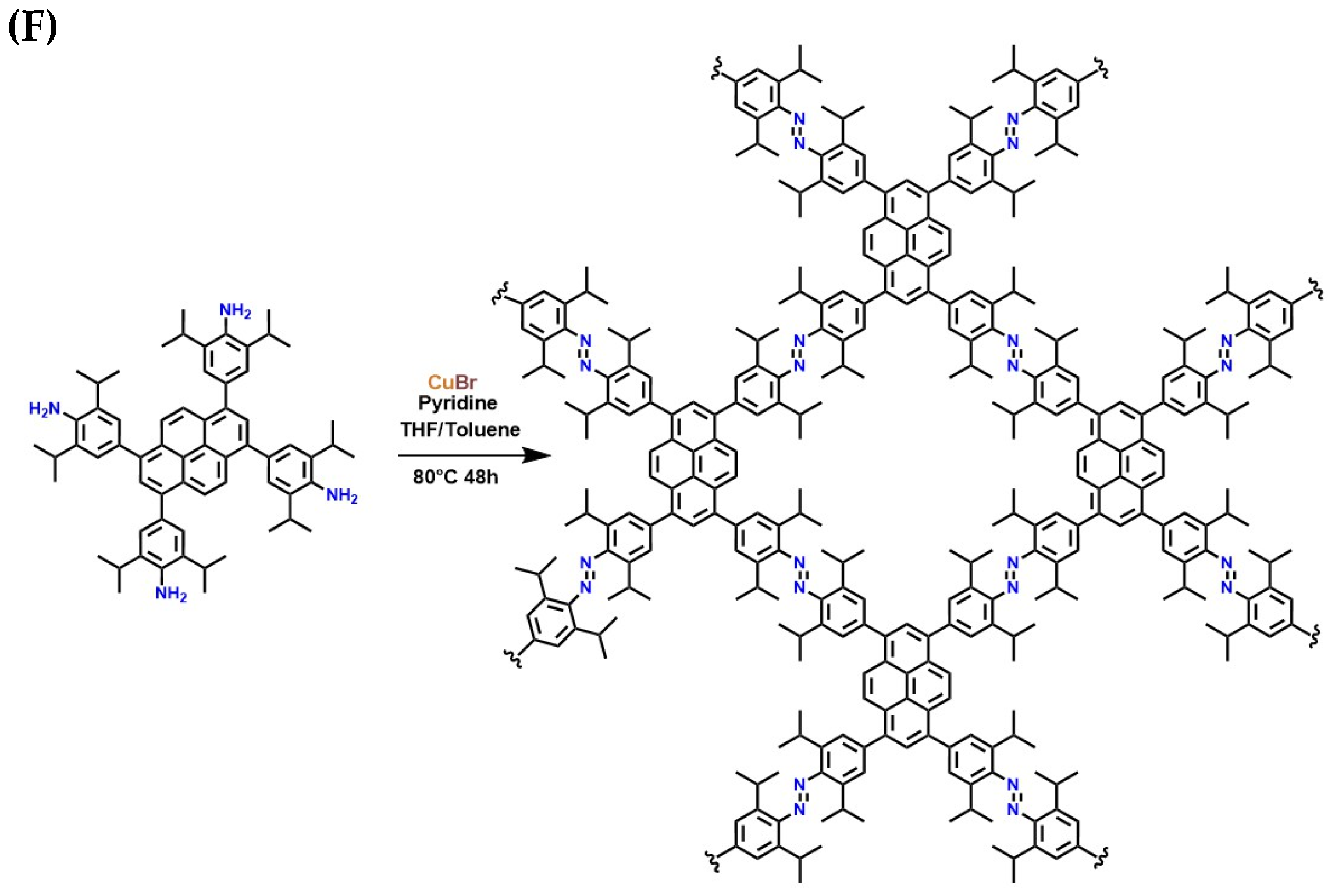 Molecules 30 00563 g013b