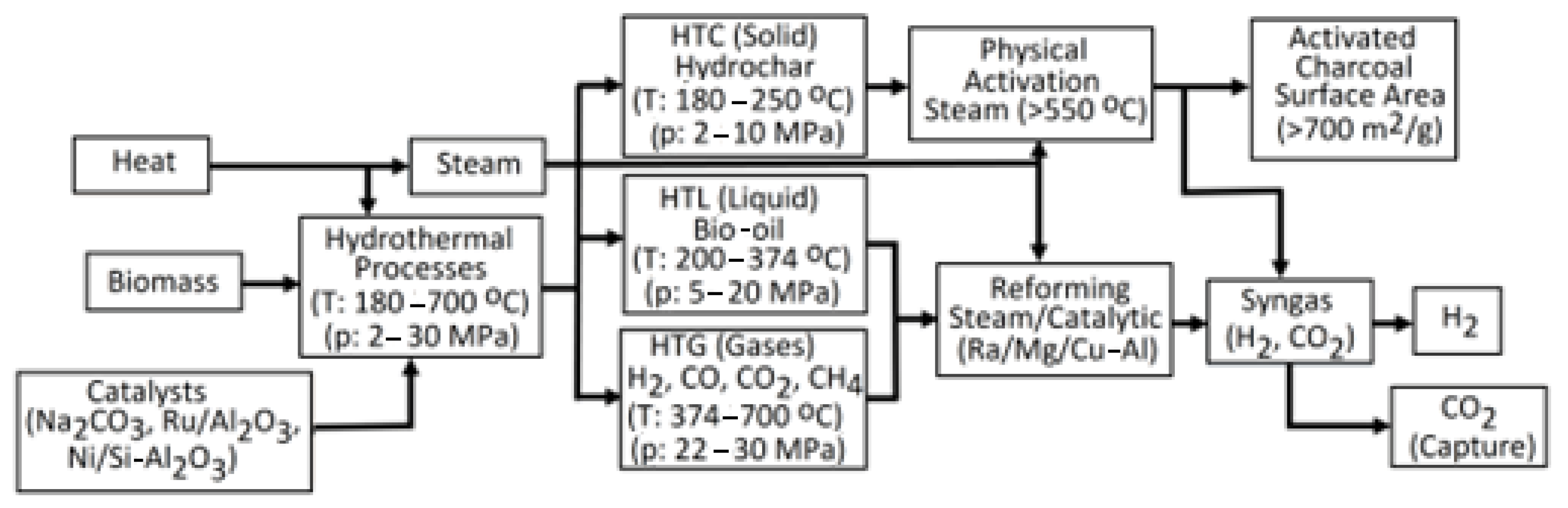 Molecules 30 00565 g013