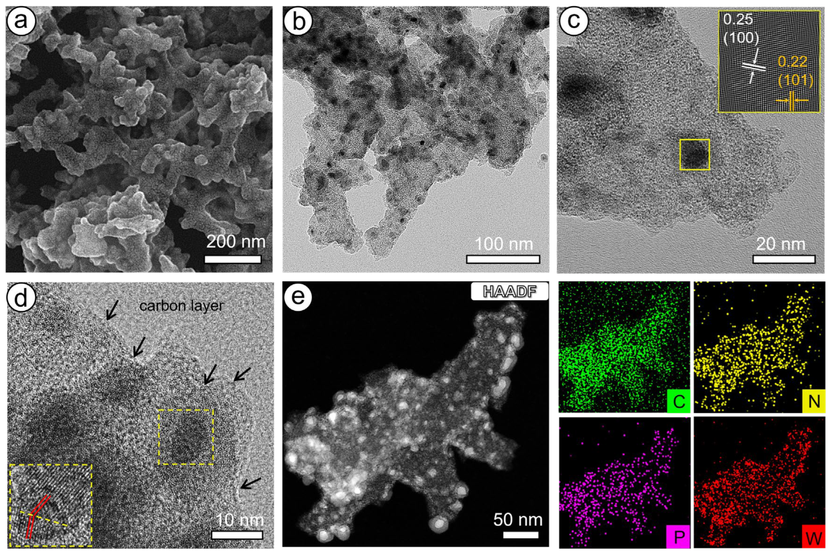 Molecules 30 00617 g003