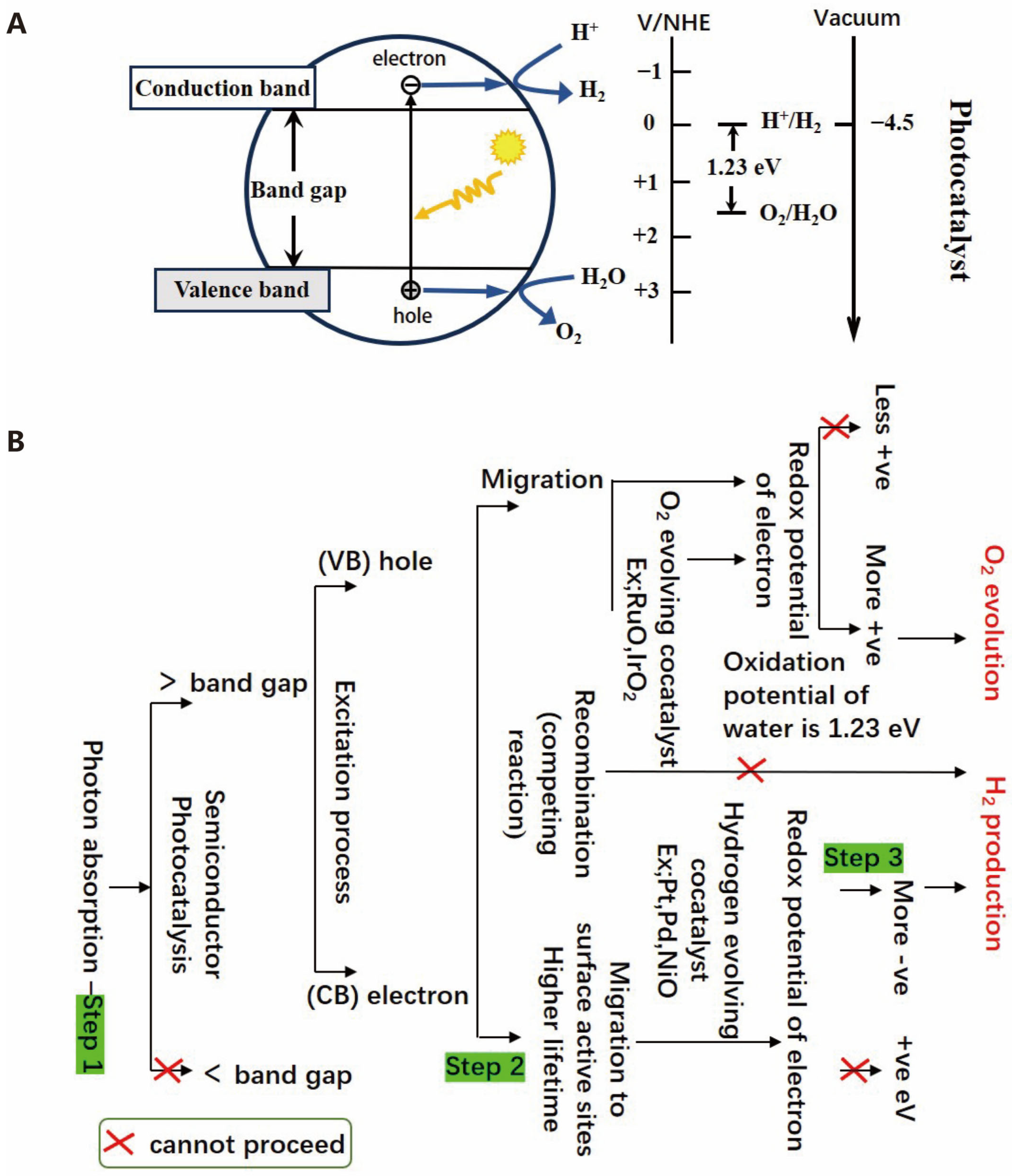 Molecules 30 00630 g002