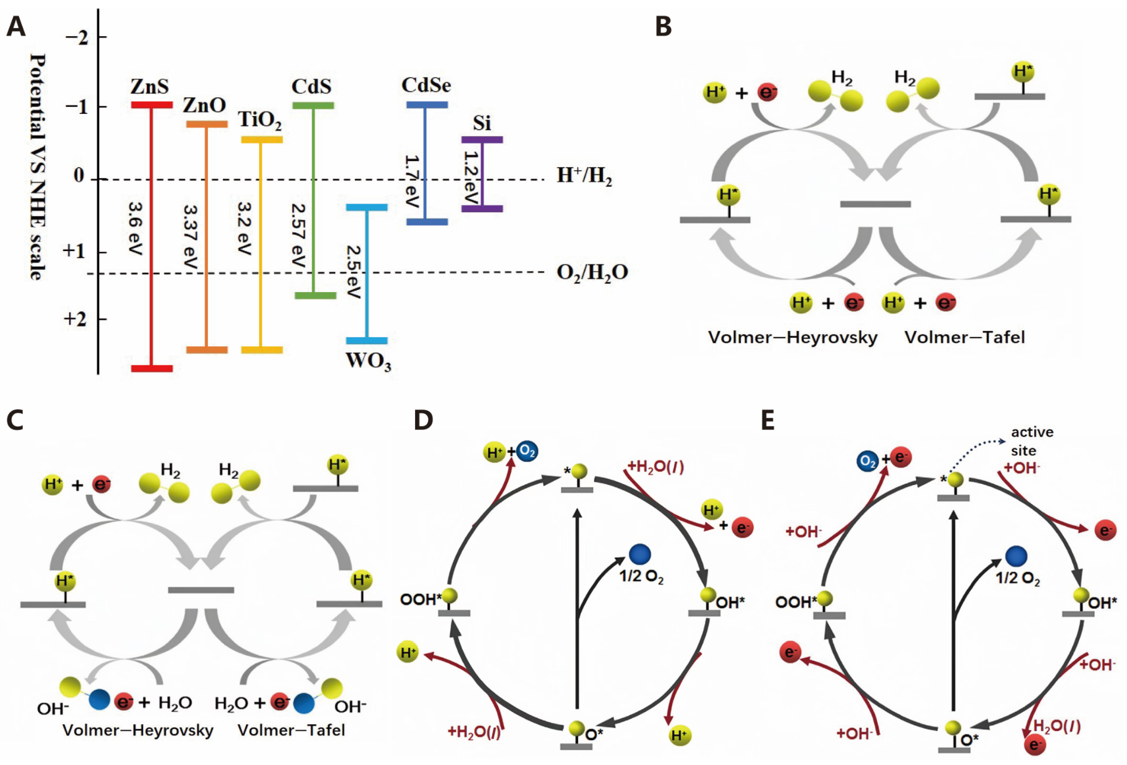 Molecules 30 00630 g003