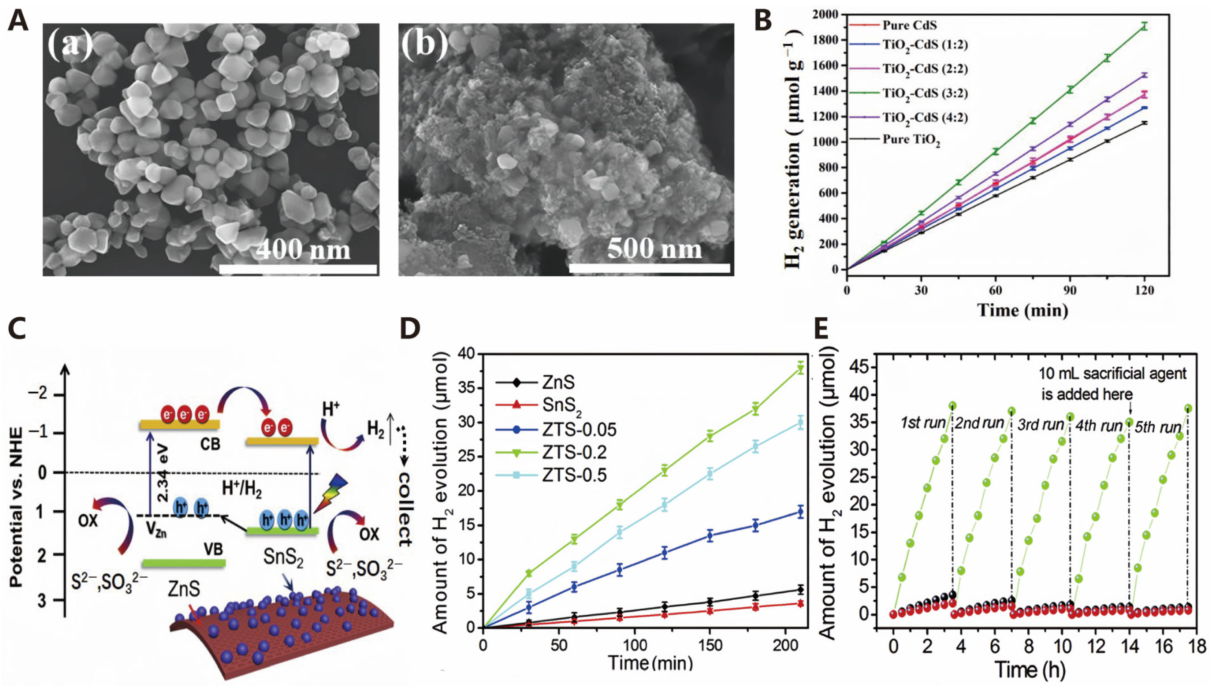 Molecules 30 00630 g005