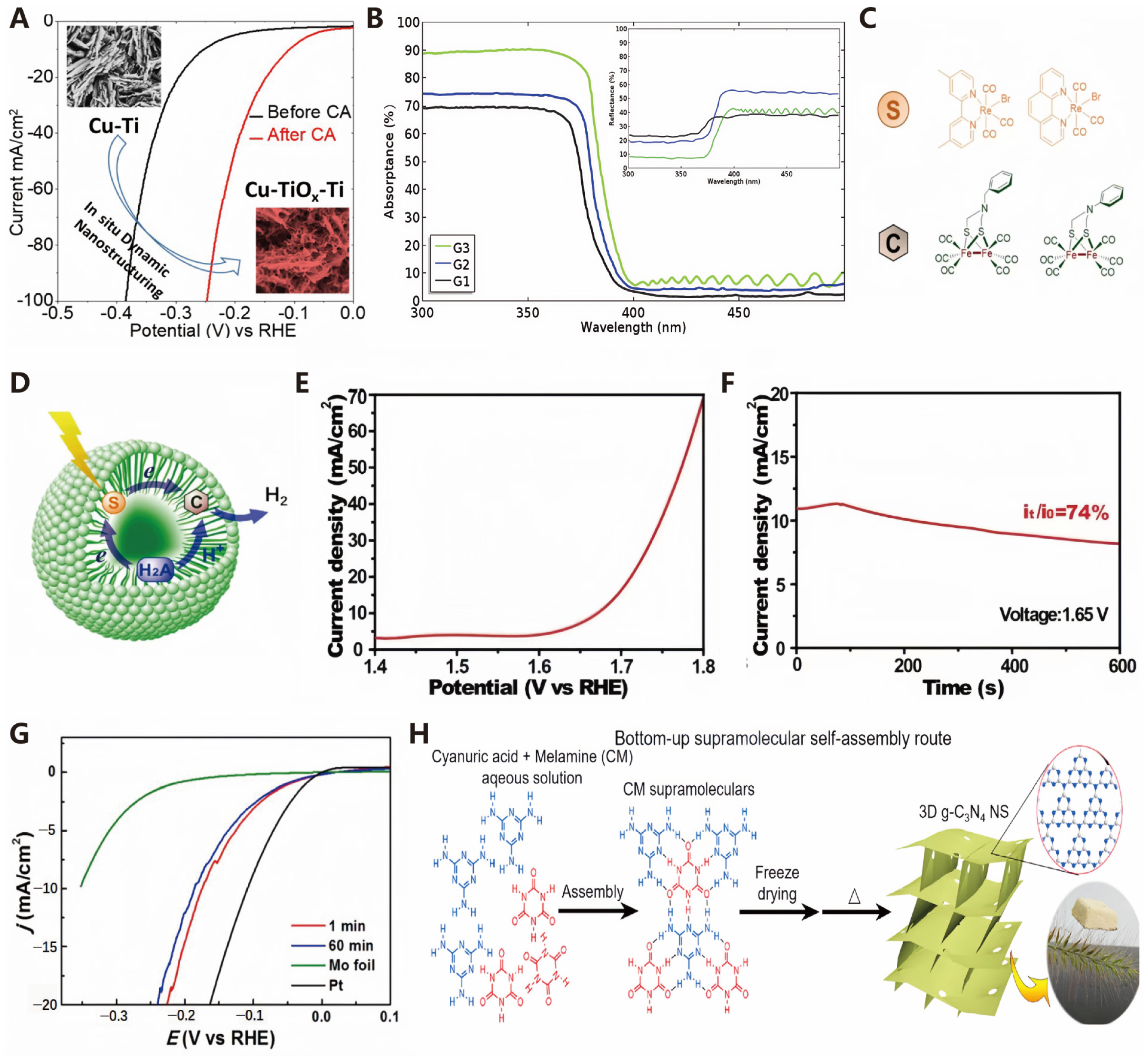 Molecules 30 00630 g010