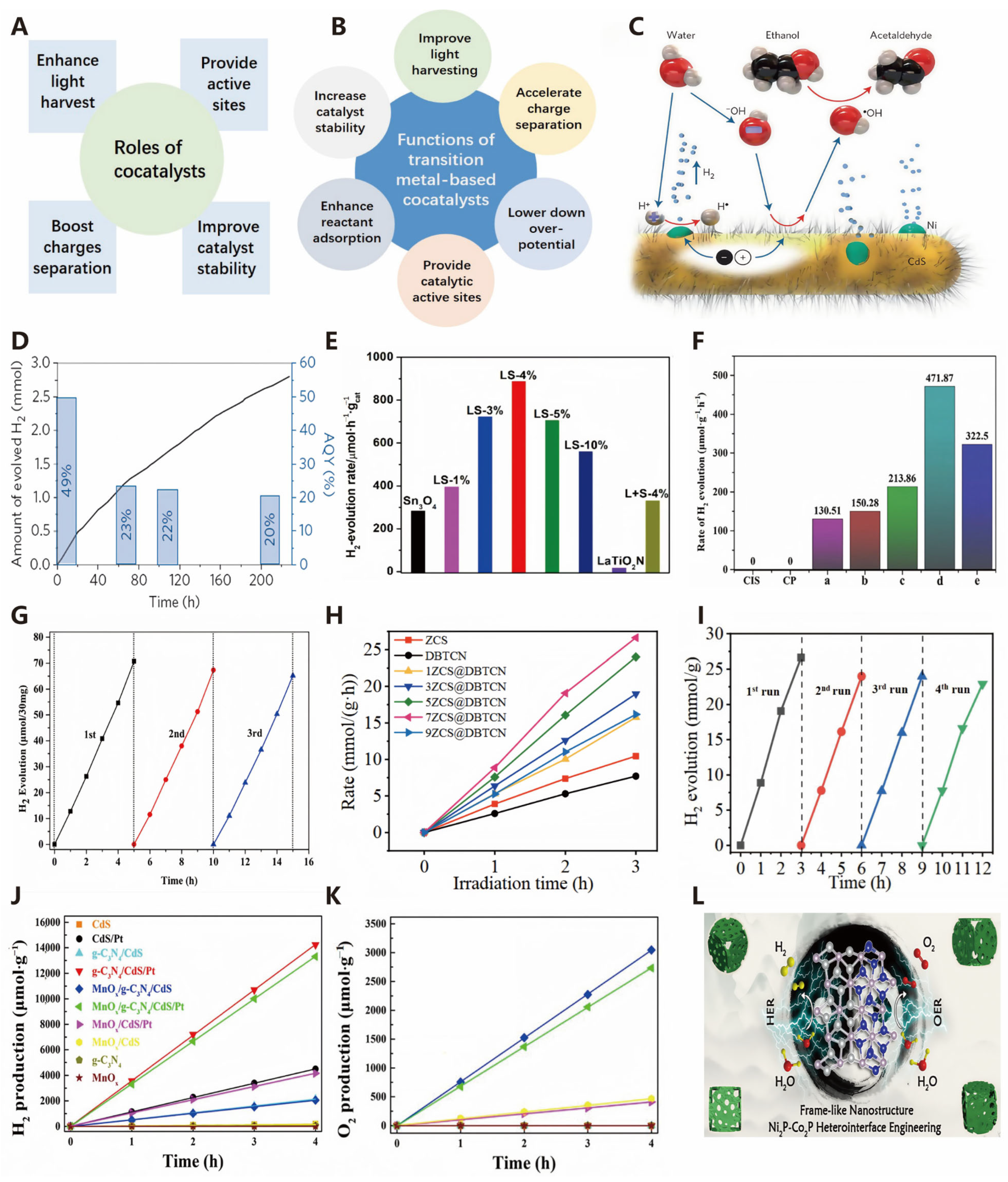 Molecules 30 00630 g012