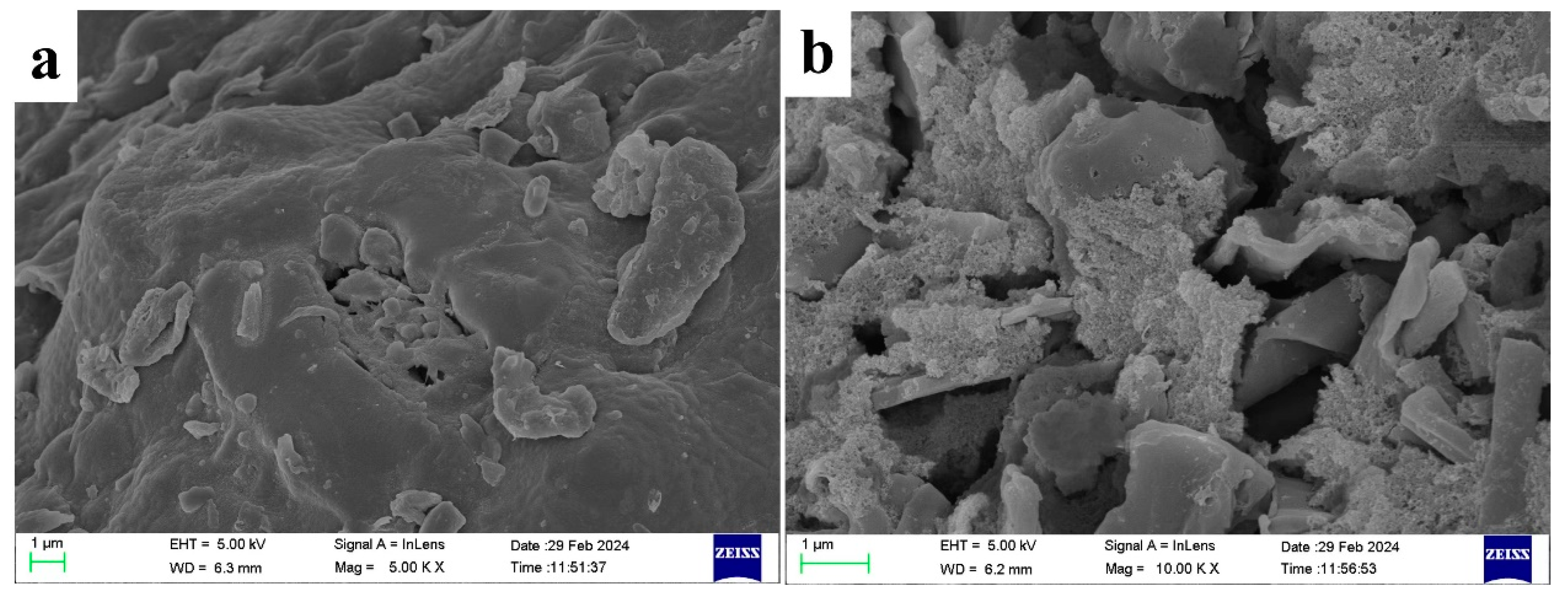 Molecules 30 00632 g010