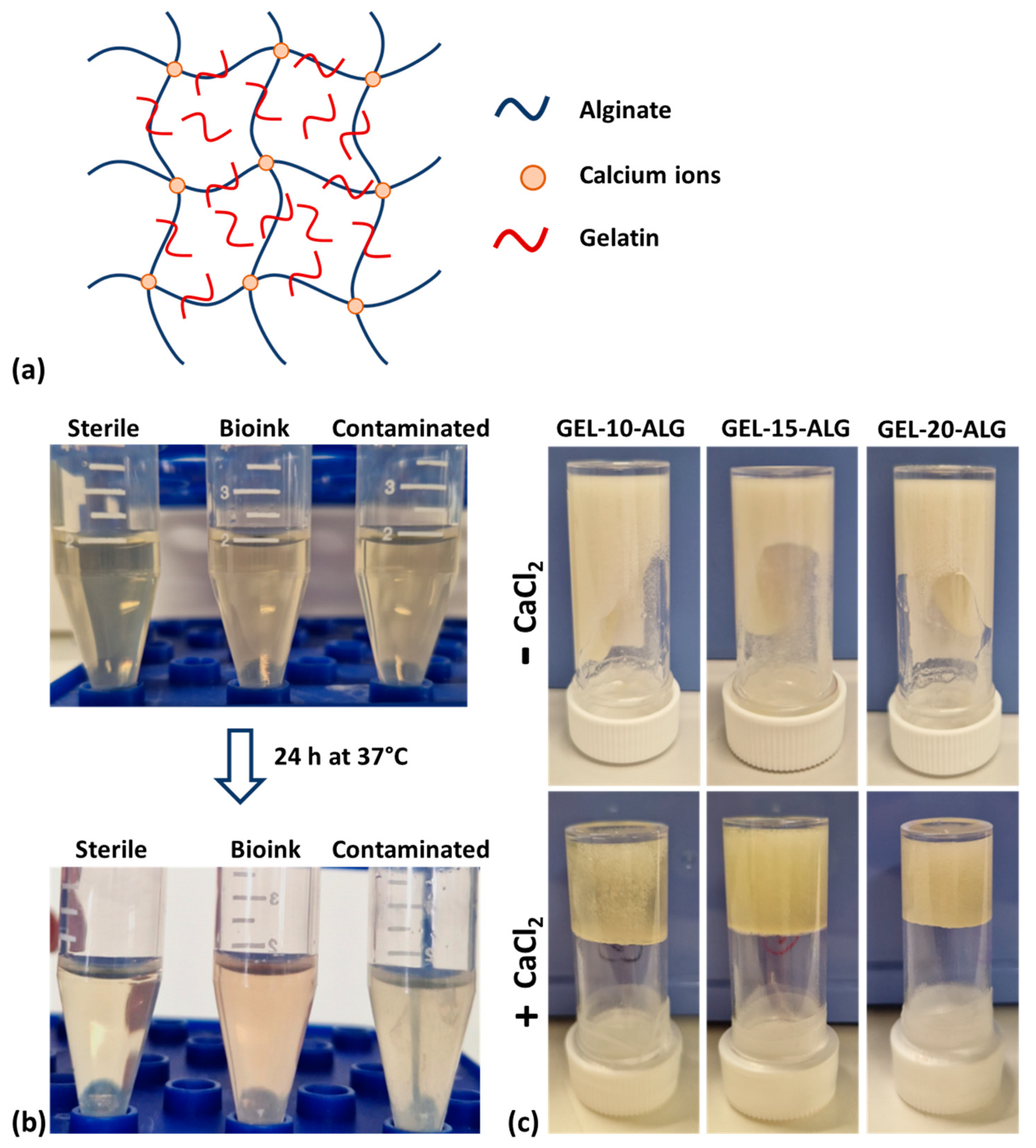 Molecules 30 00649 g001