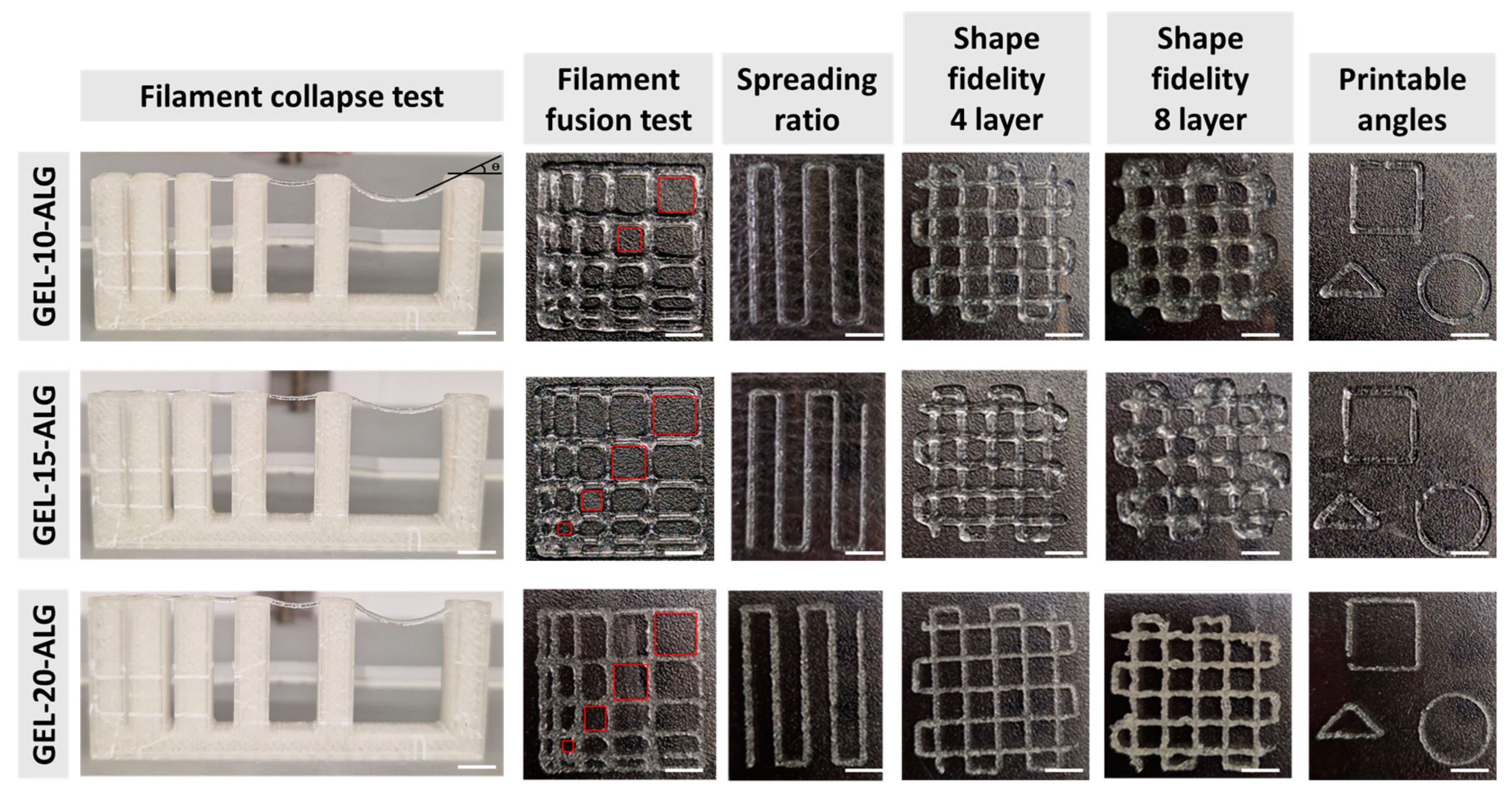 Molecules 30 00649 g004