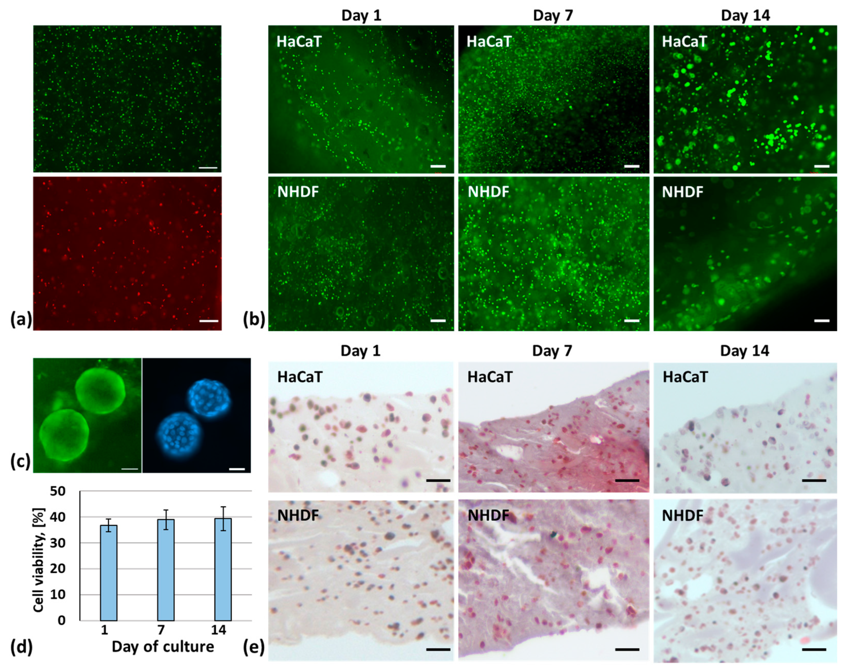 Molecules 30 00649 g006