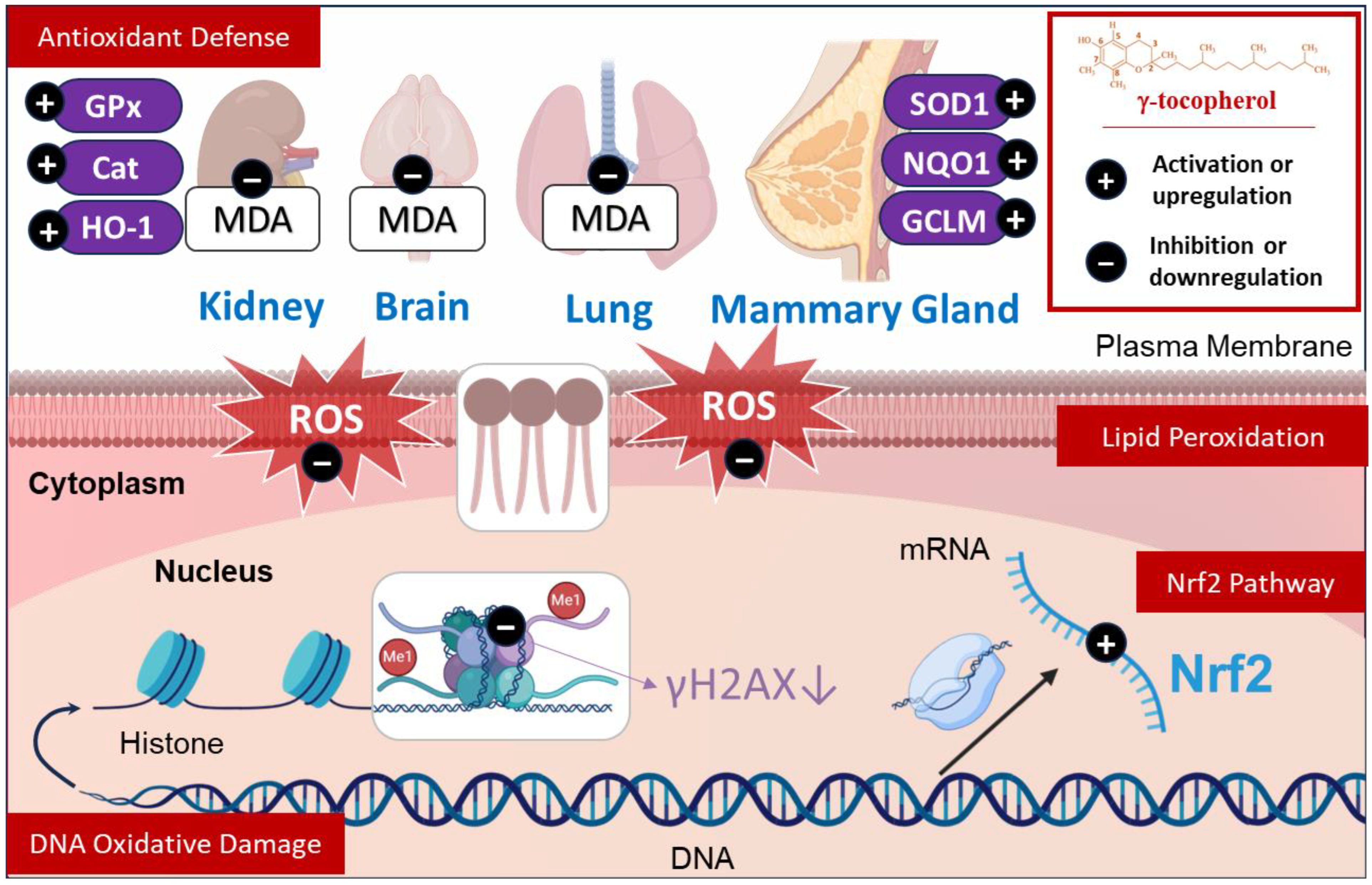 Molecules 30 00653 g002