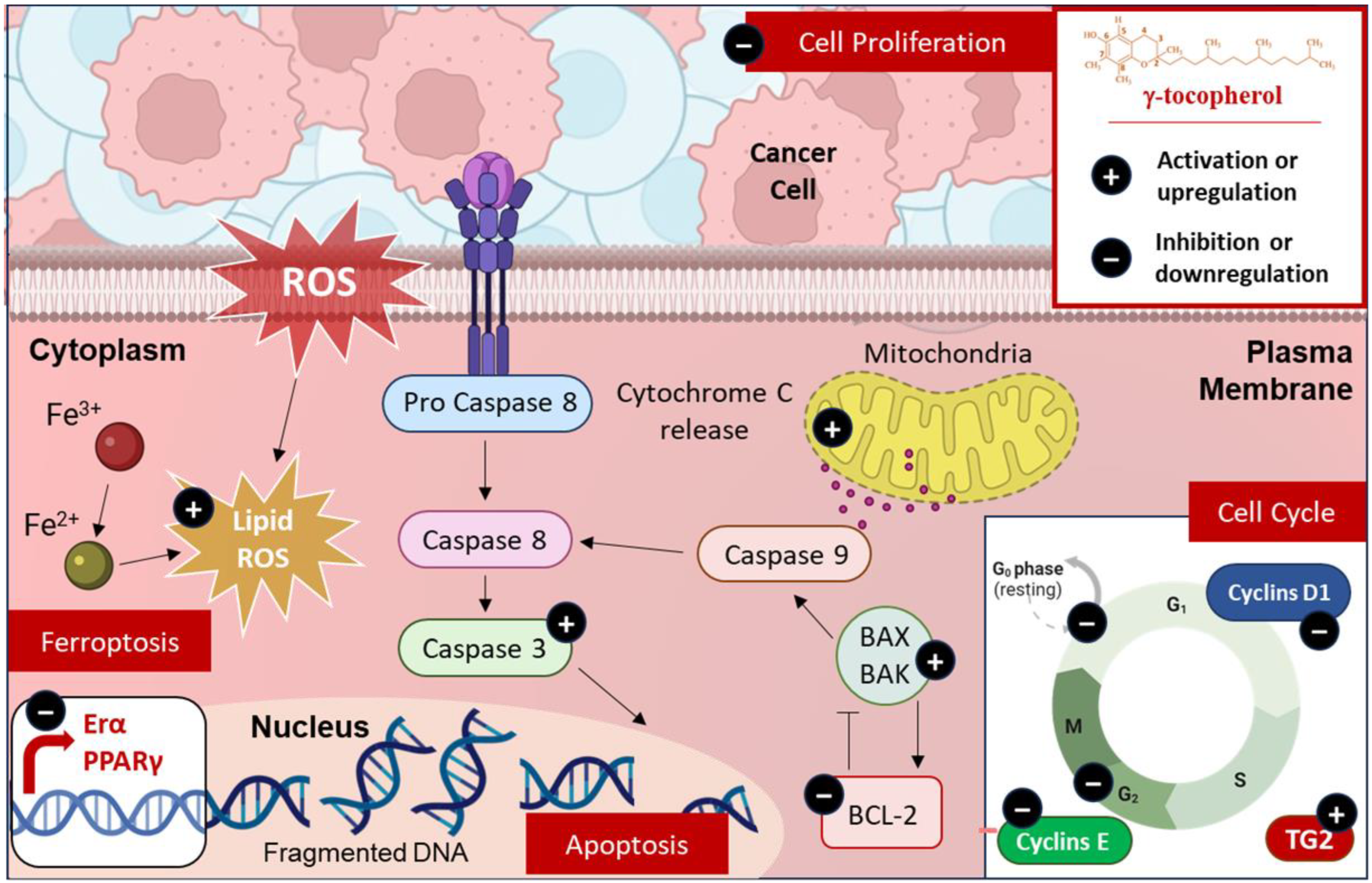 Molecules 30 00653 g004