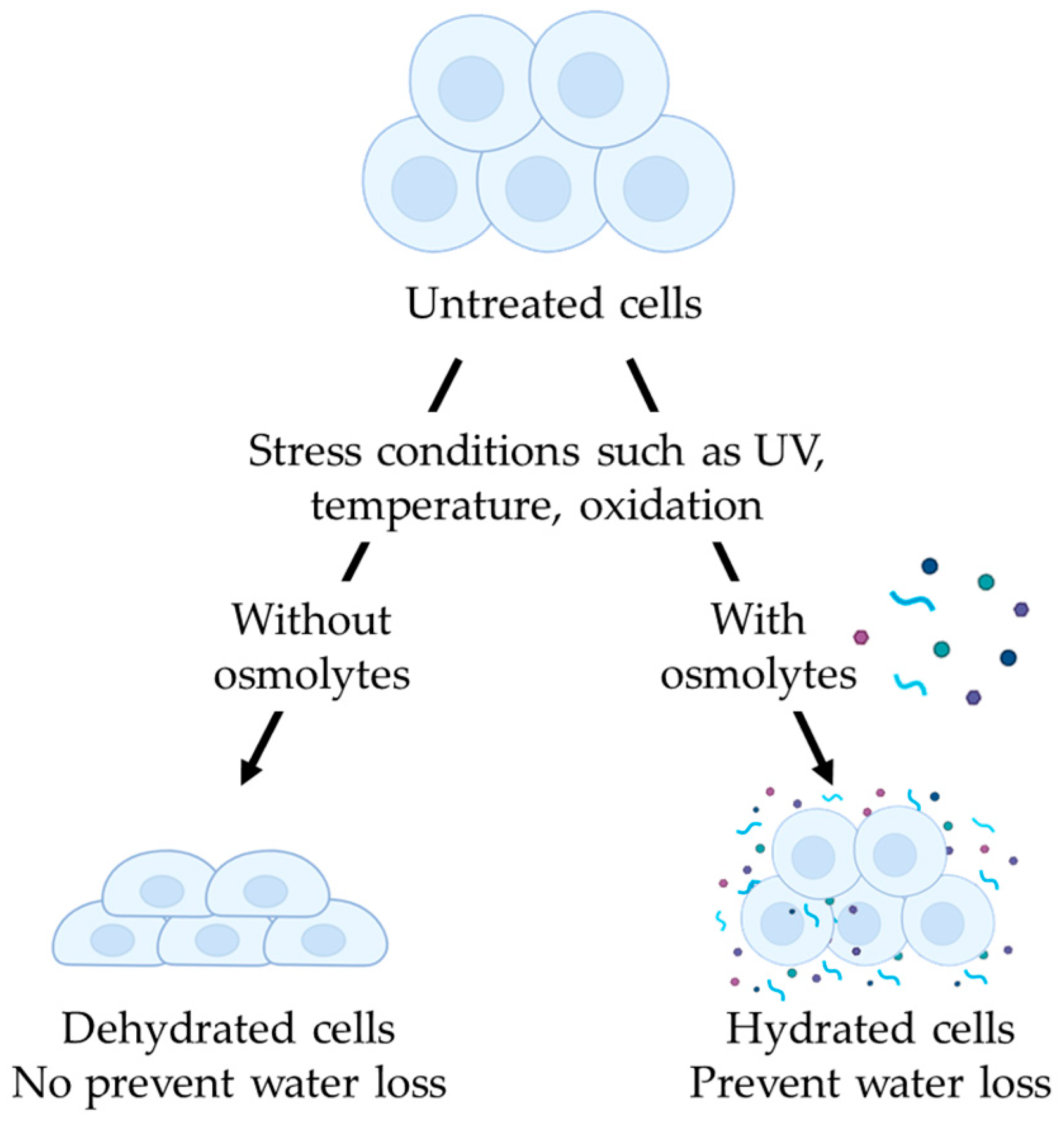 Molecules 30 00664 g001