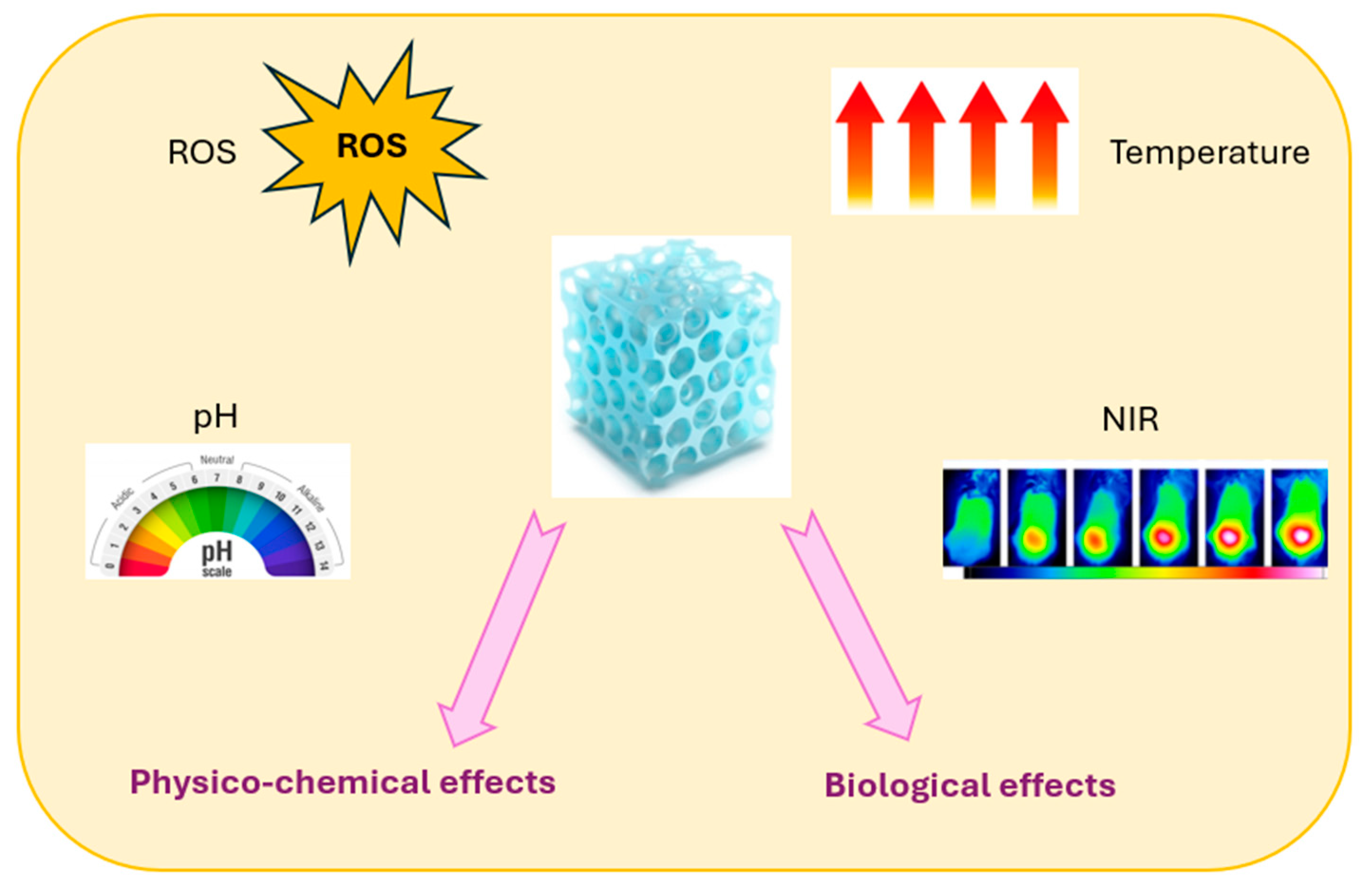 Molecules 30 00686 g005