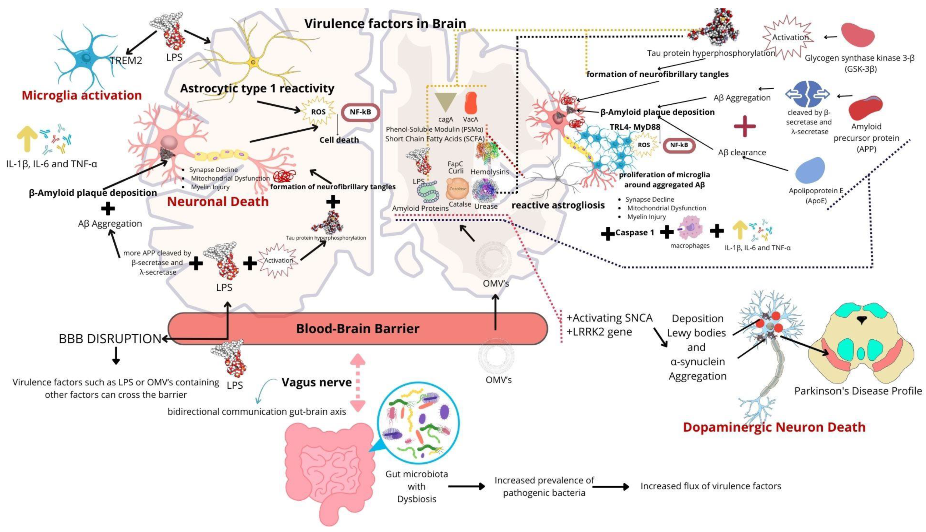 Molecules 30 00687 g004