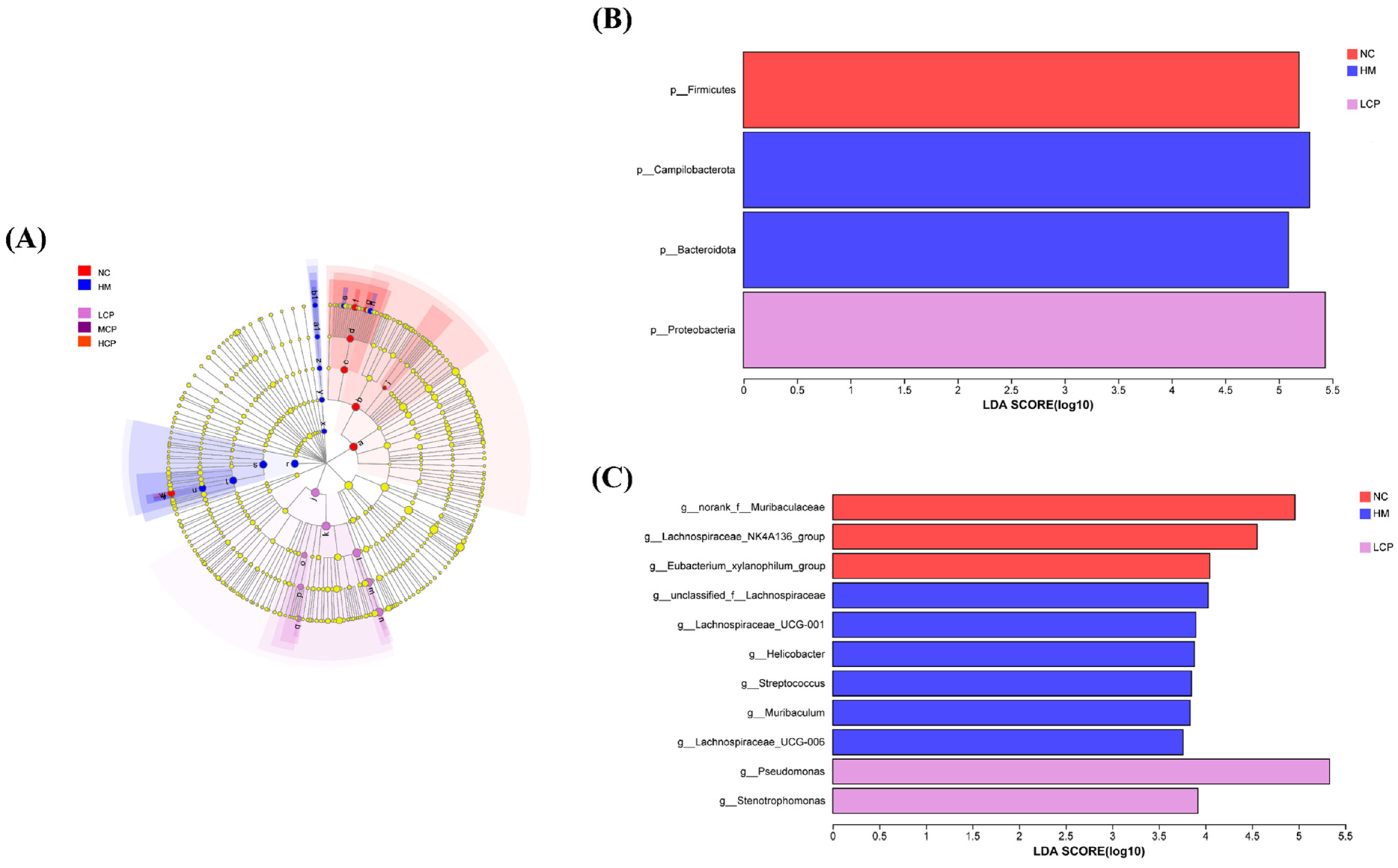 Molecules 30 00705 g005