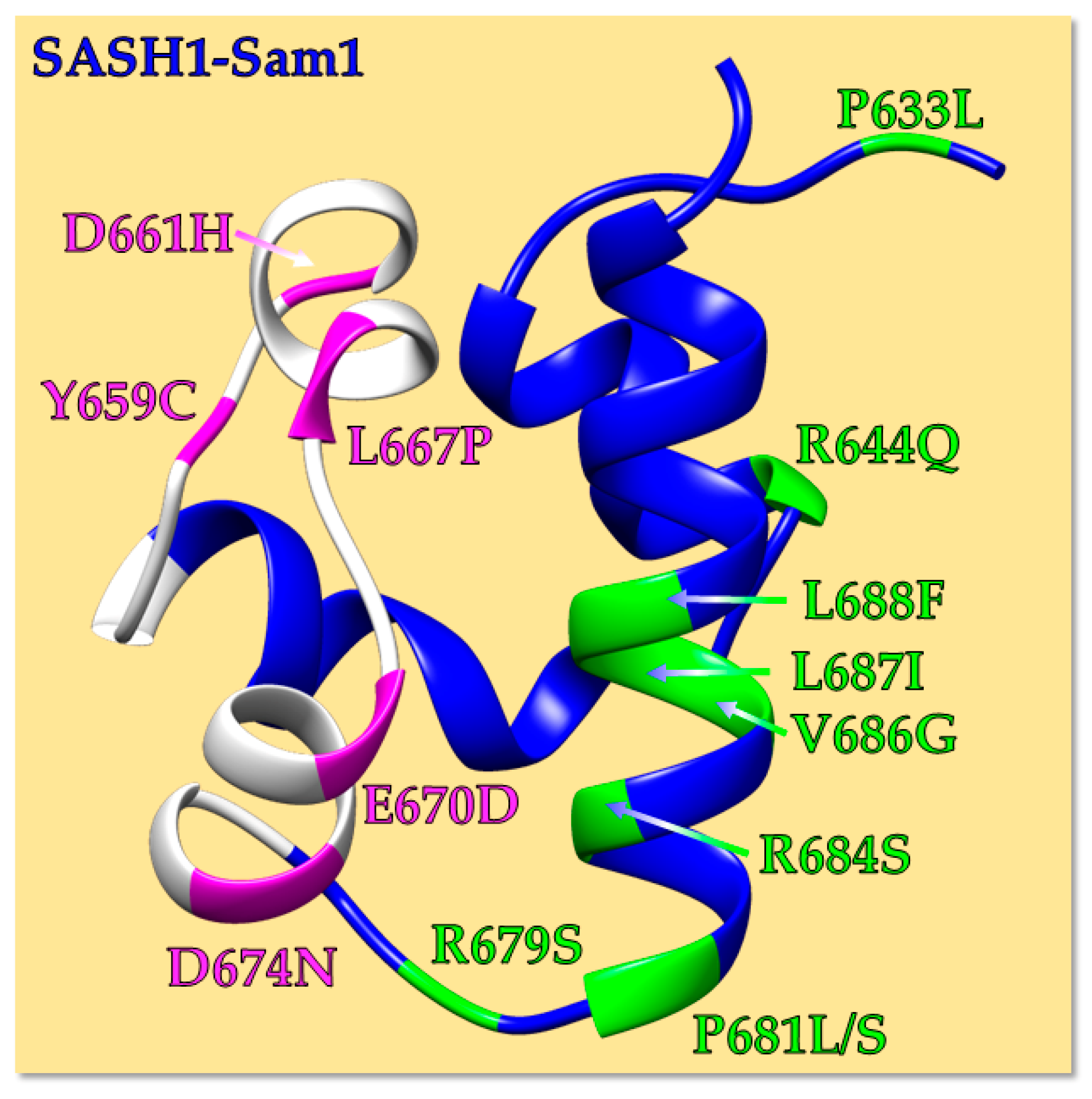 Molecules 30 00718 g004 Molecules 30 00718 g004