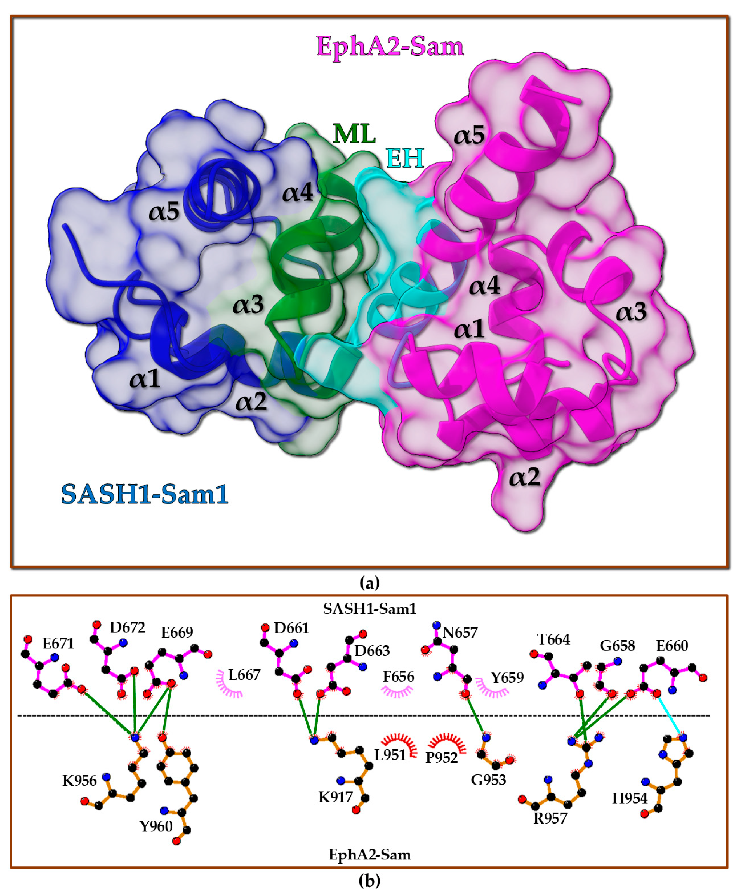 Molecules 30 00718 g007 Molecules 30 00718 g007