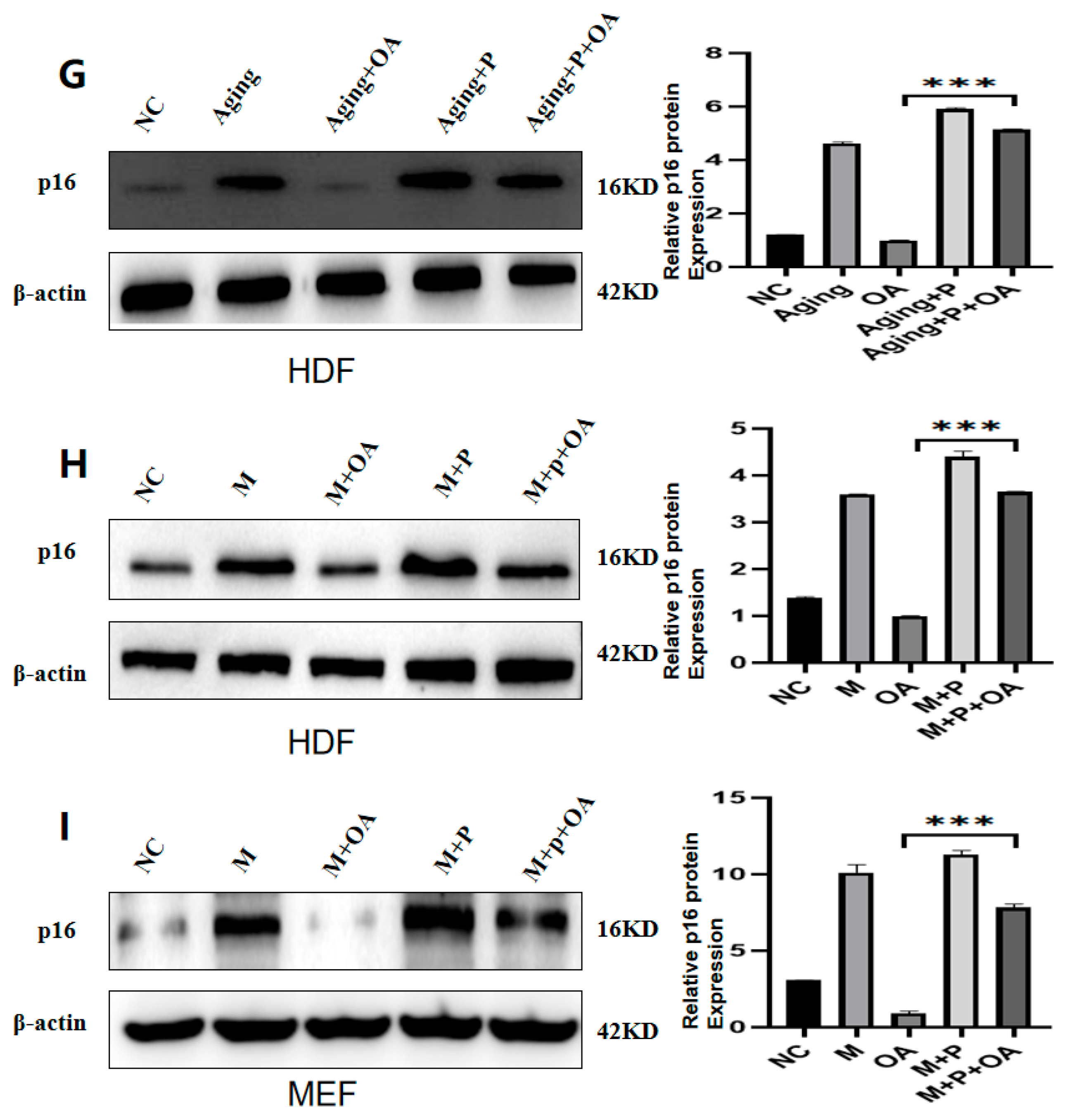 Molecules 30 00740 g005b