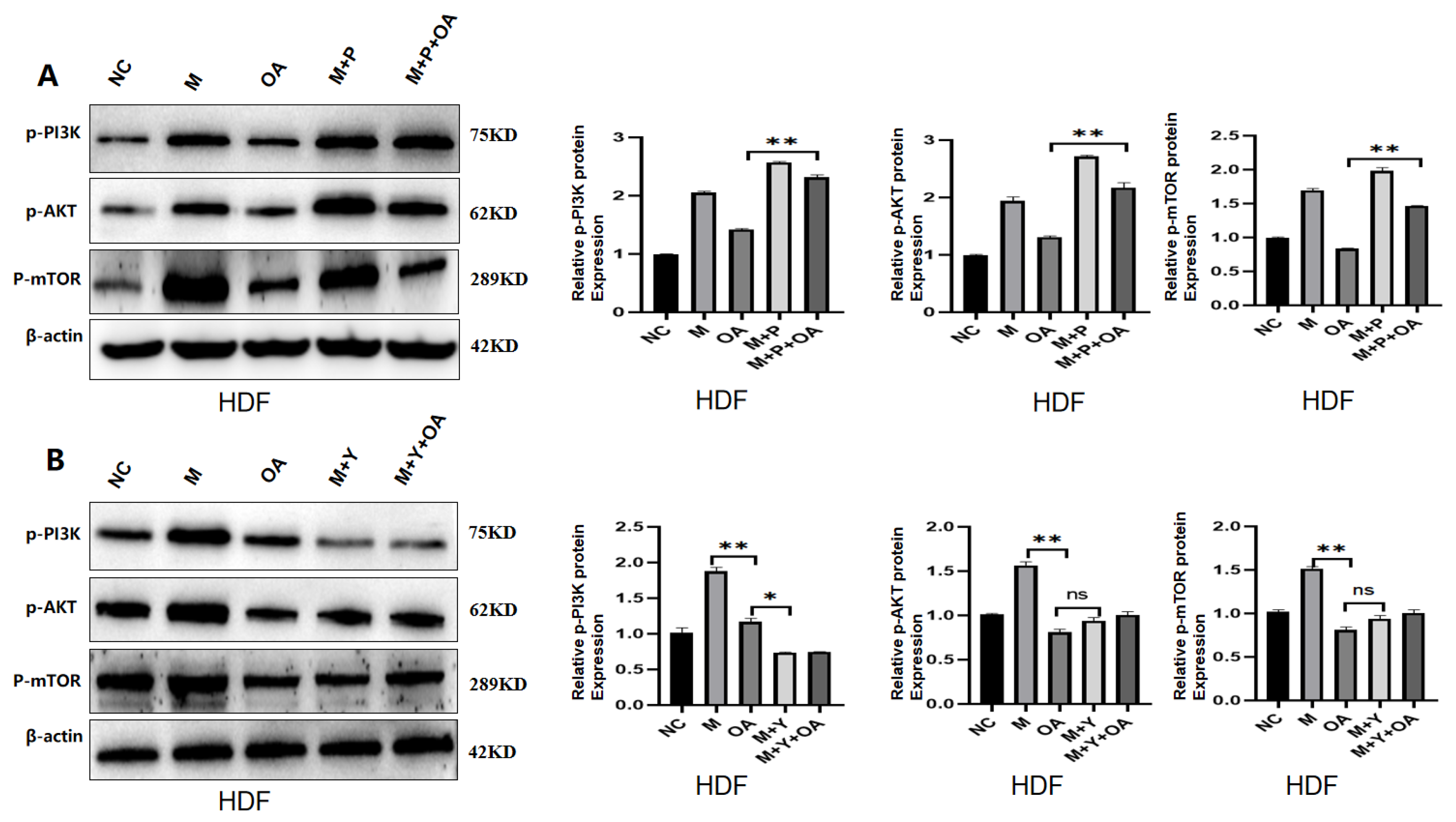Molecules 30 00740 g007