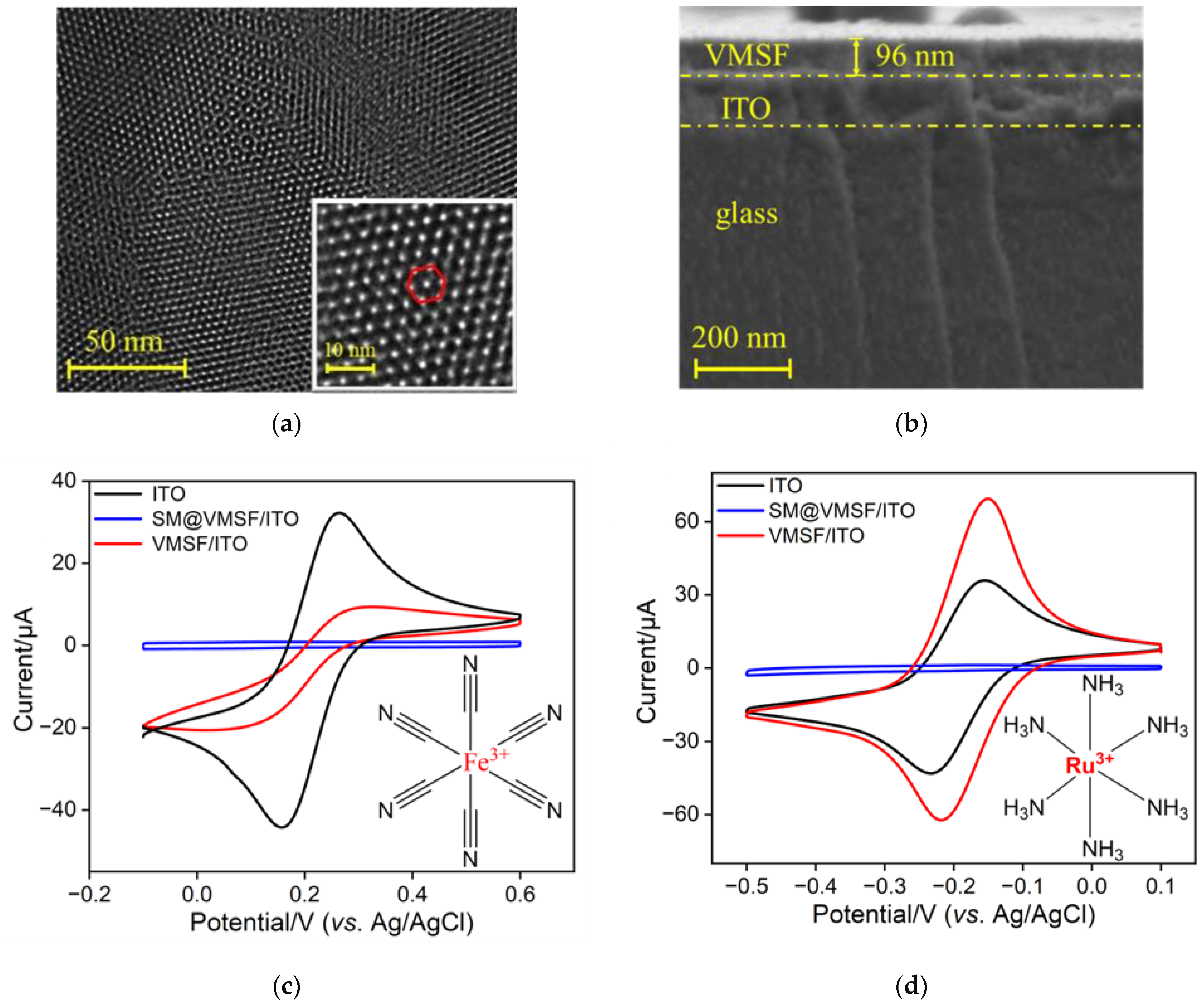 Molecules 30 00746 g002