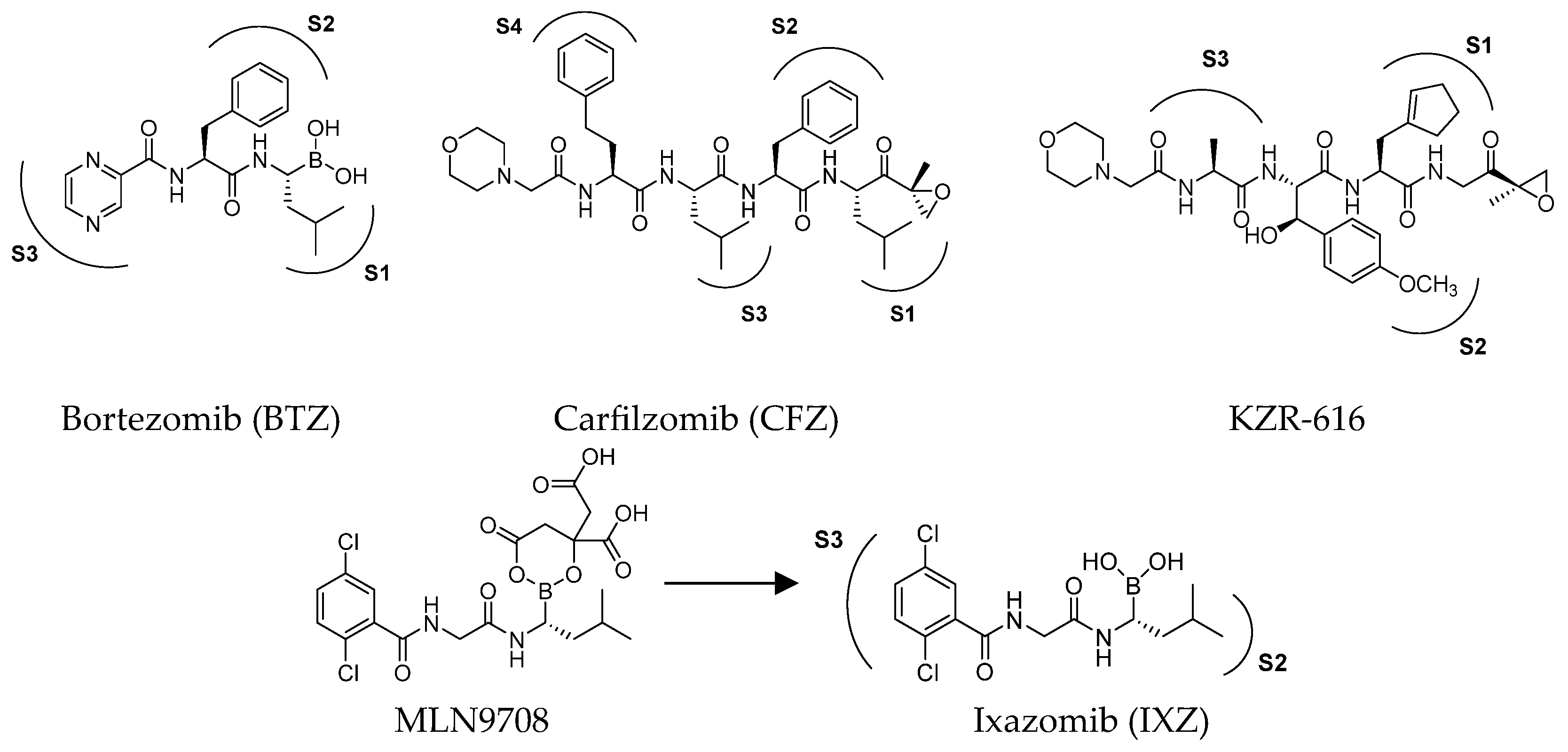 Molecules 30 00755 g003