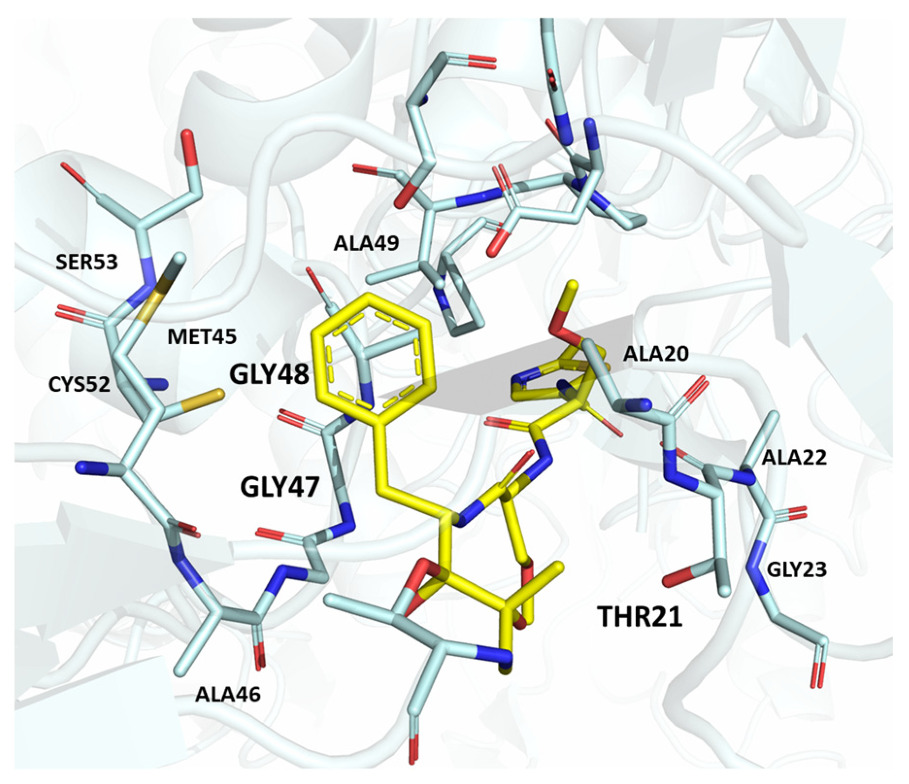 Molecules 30 00755 g006
