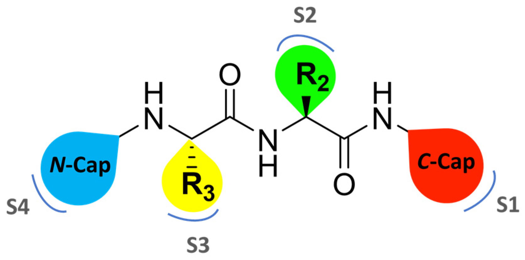Molecules 30 00755 g010